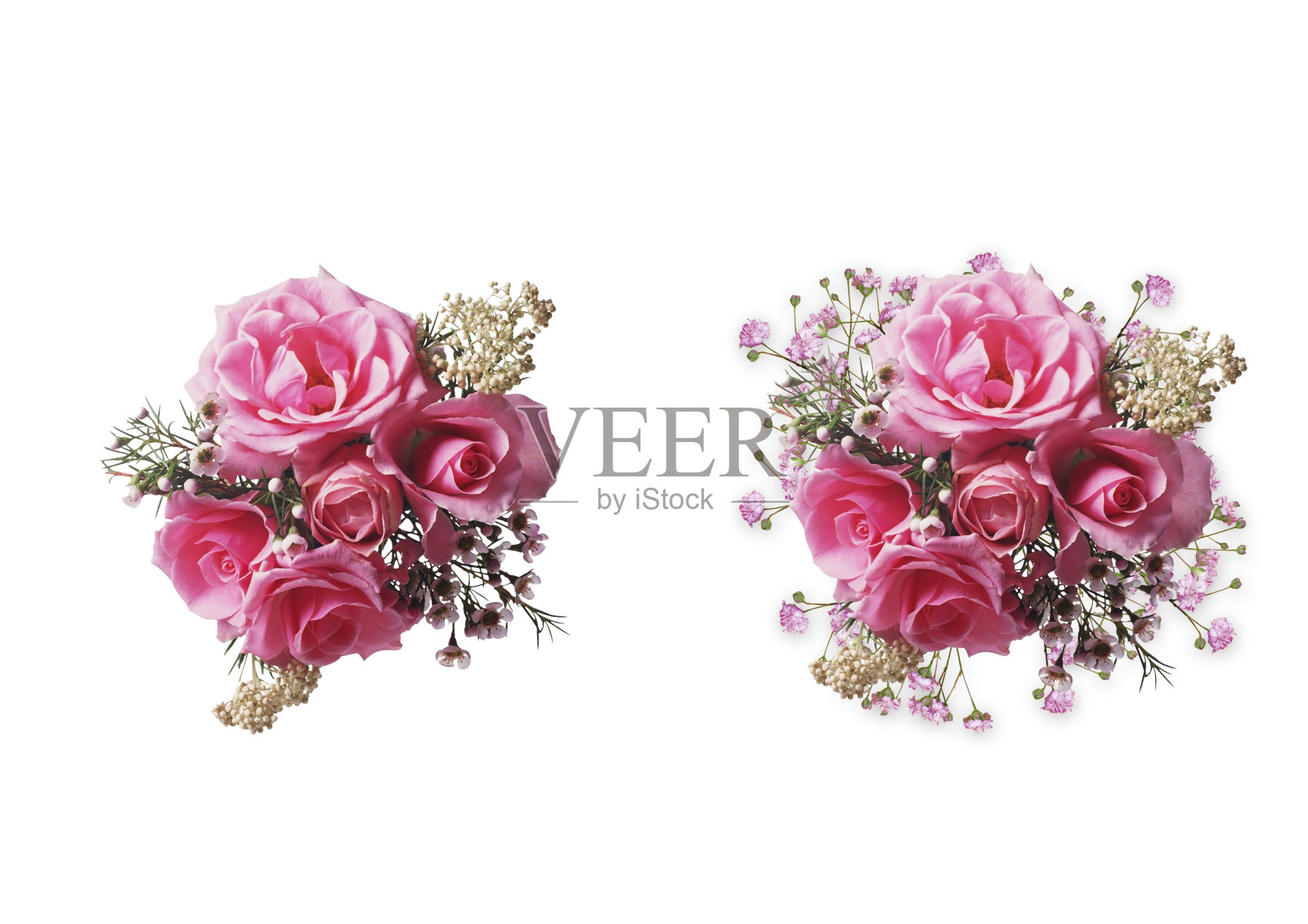 玫瑰花束隔离照片摄影图片