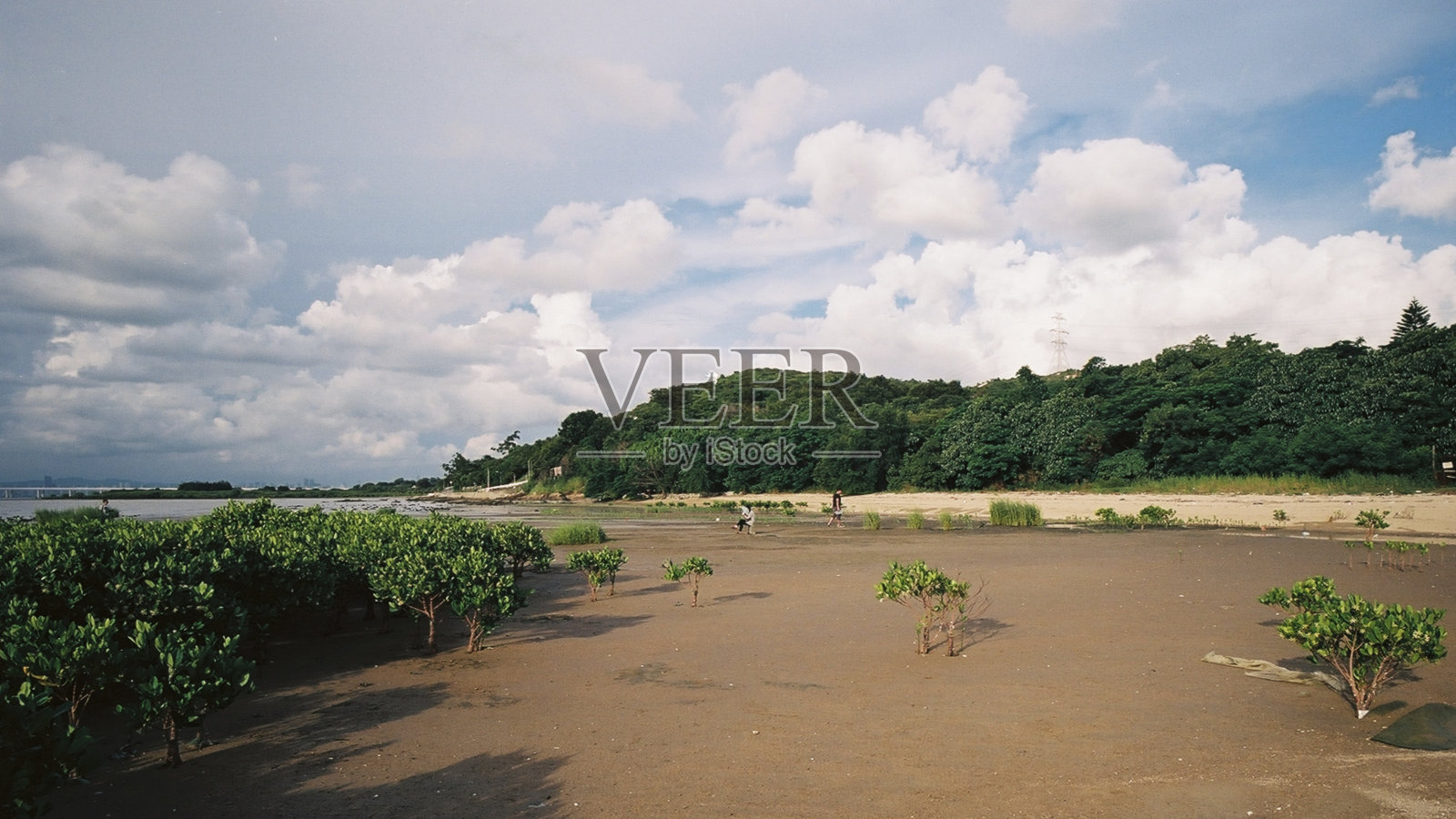 哈白奈,香港照片摄影图片