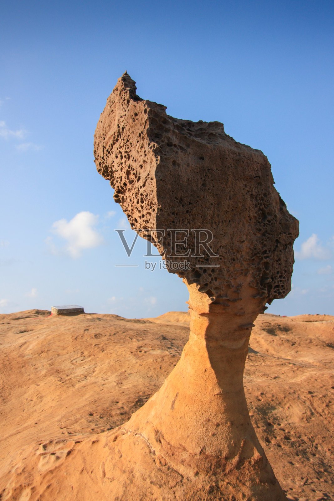 女王的影子照片摄影图片