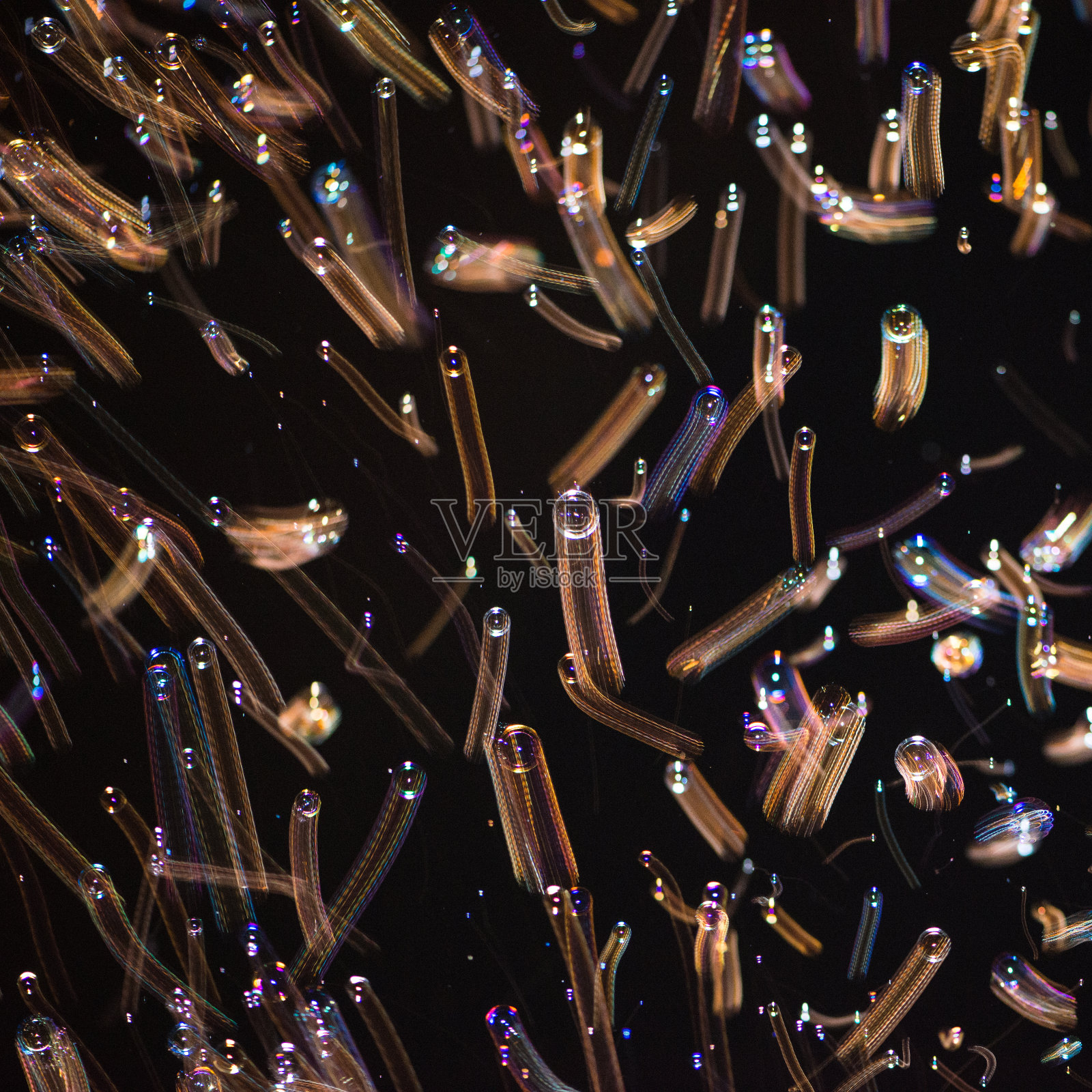 肥皂泡照片摄影图片