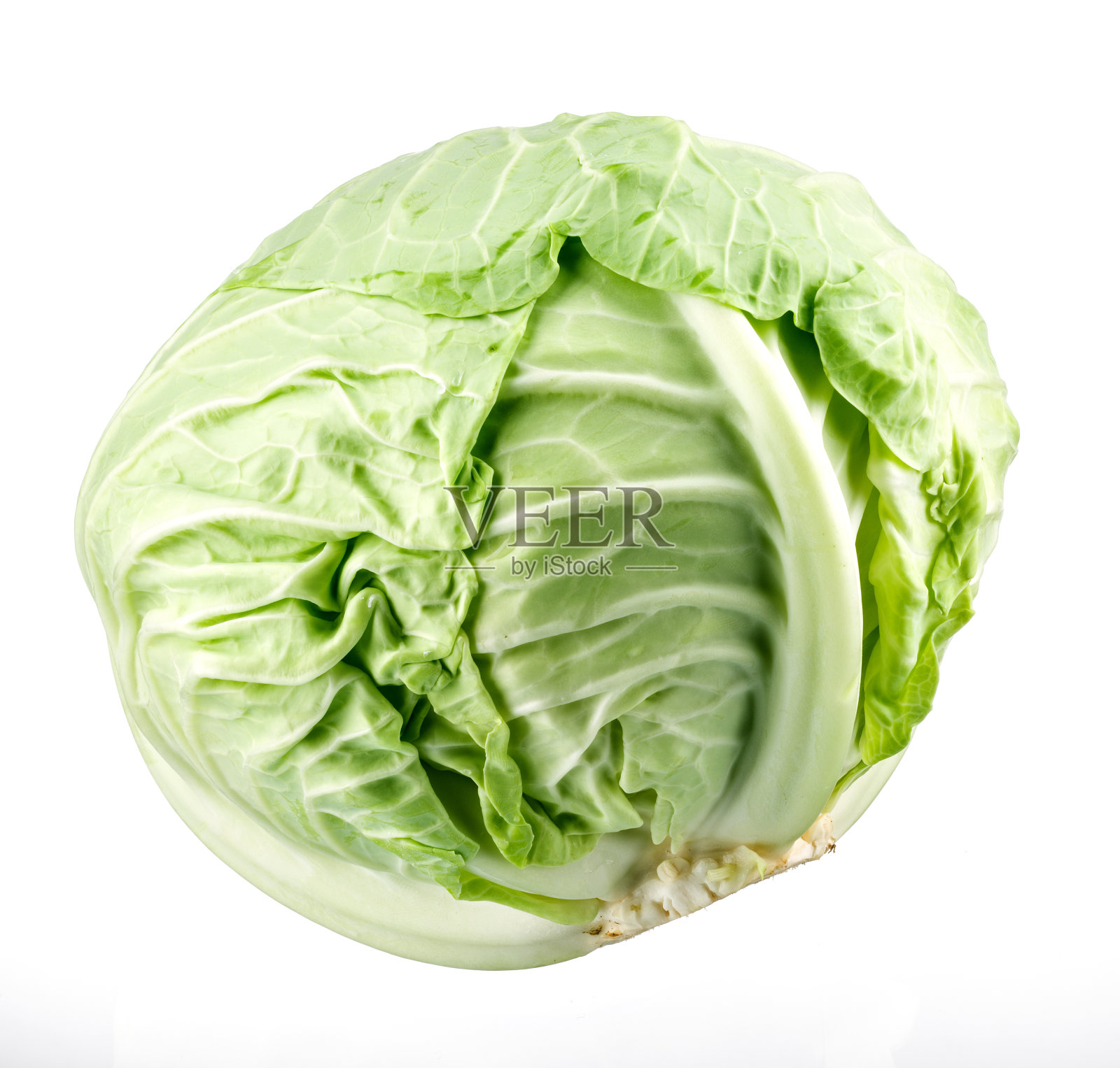 菜心照片摄影图片