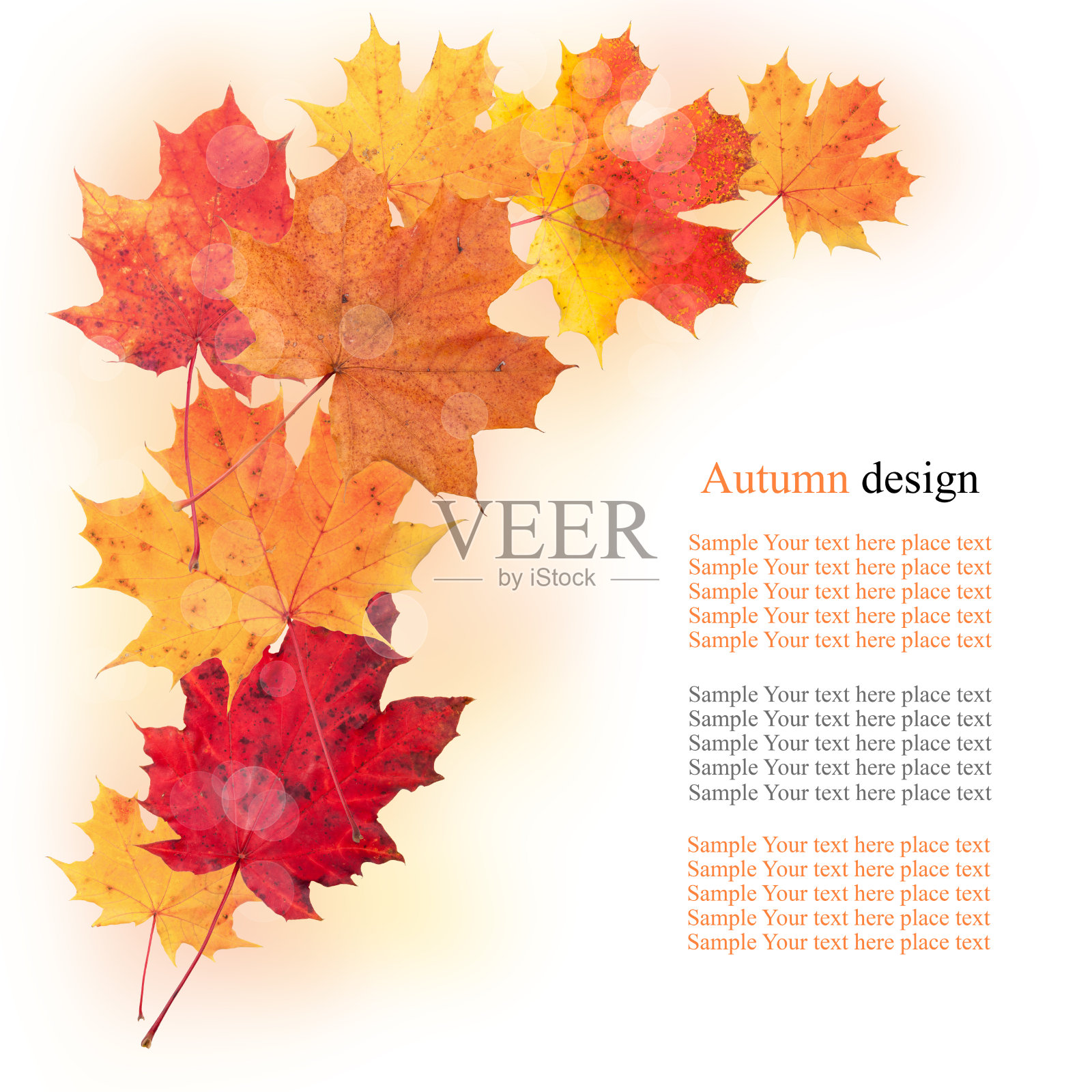 秋天的落叶照片摄影图片