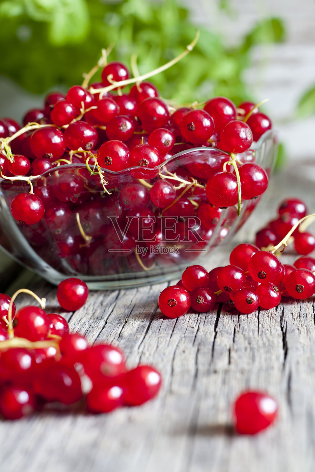 木板上的成熟红醋栗照片摄影图片