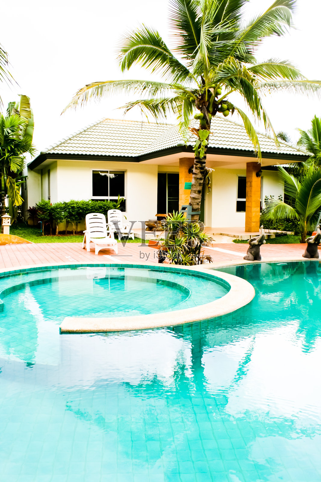 早上去游泳池照片摄影图片