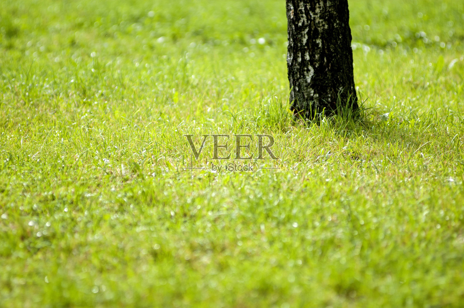 ???????照片摄影图片