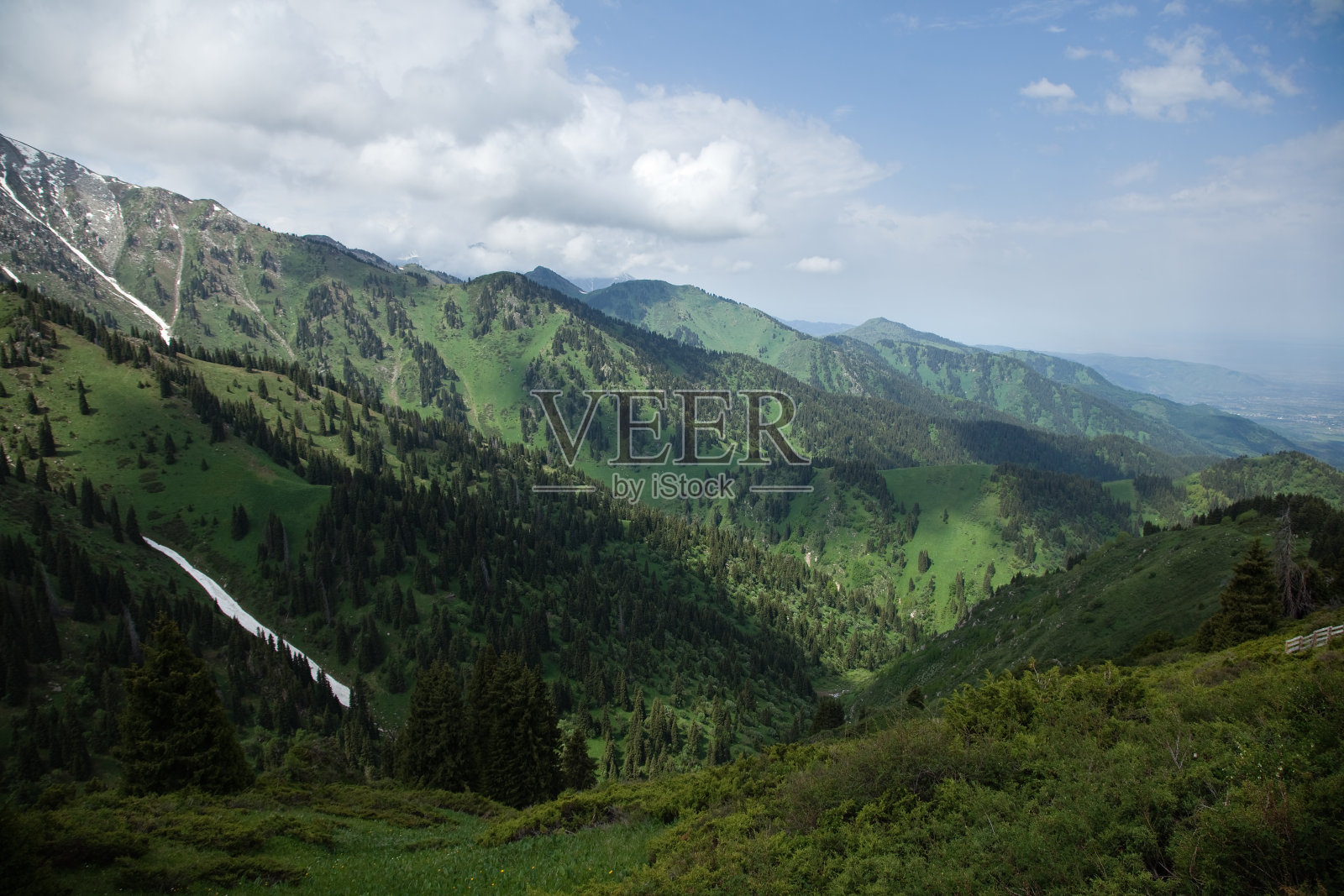 雪中的顶端照片摄影图片