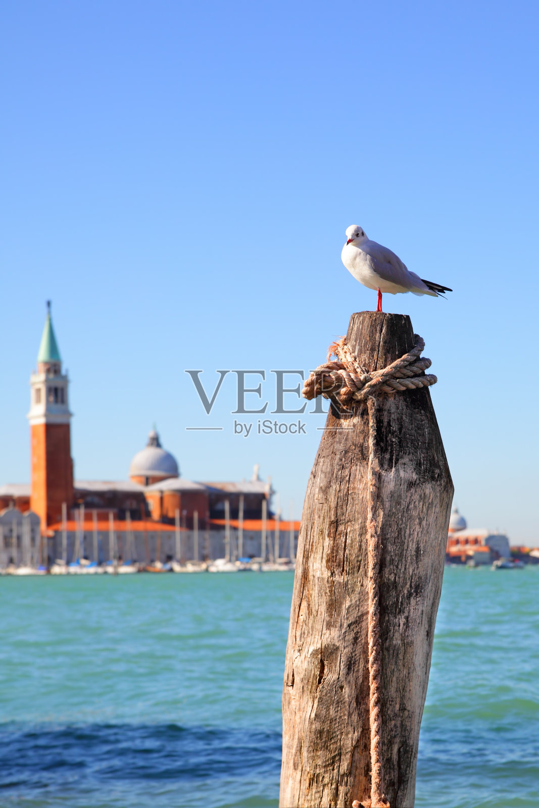 威尼斯照片摄影图片