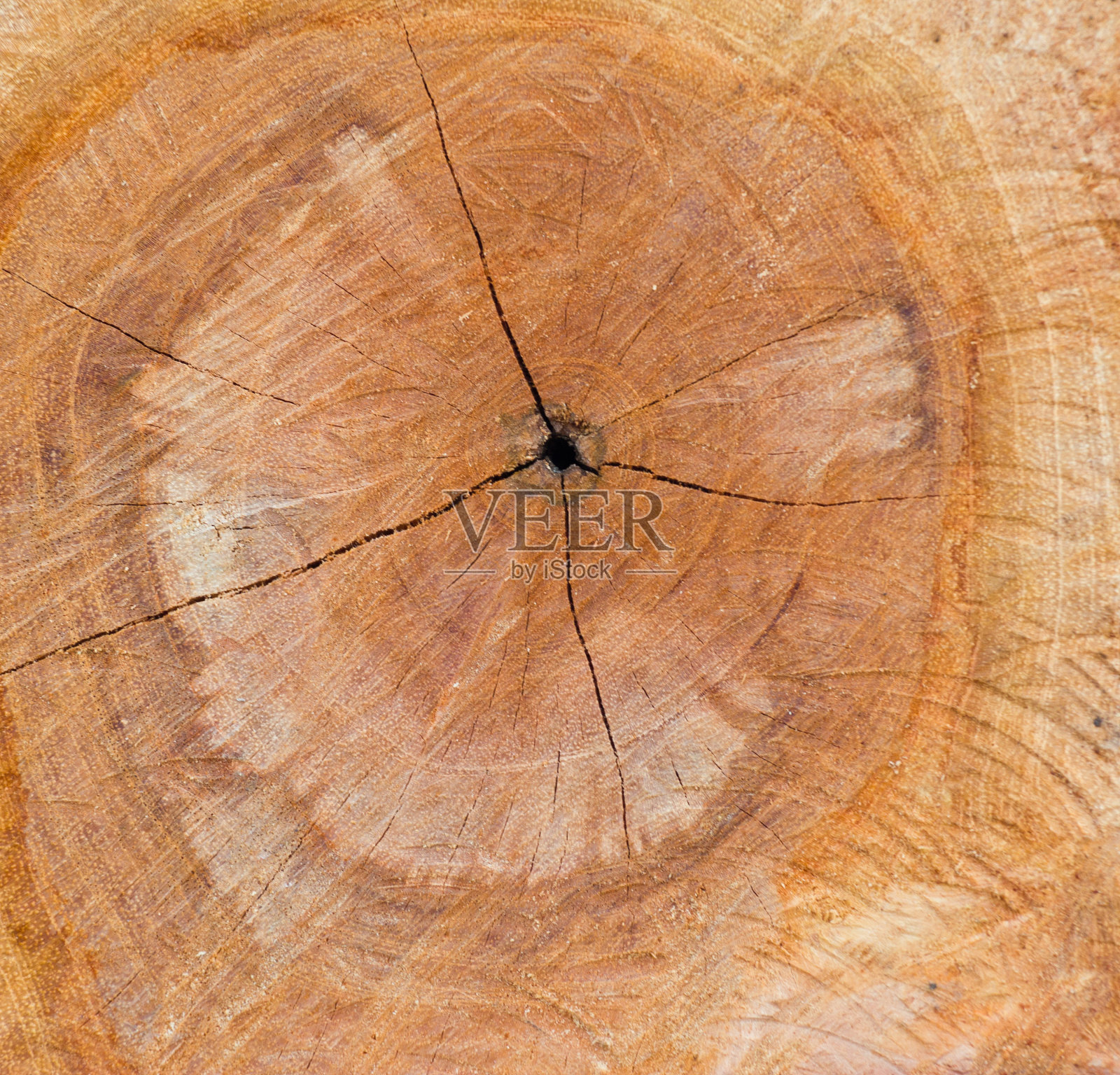 树的背景。照片摄影图片