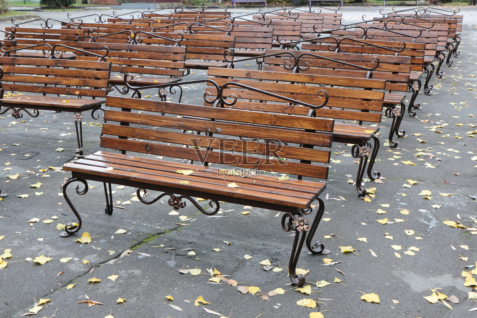 秋在夏剧院。照片摄影图片