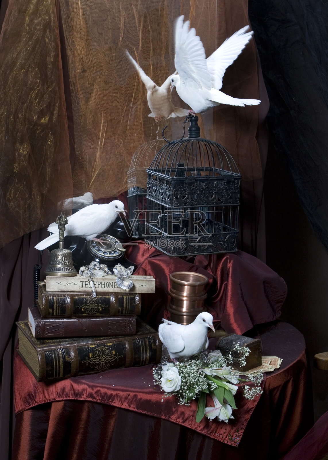 鸽子照片摄影图片