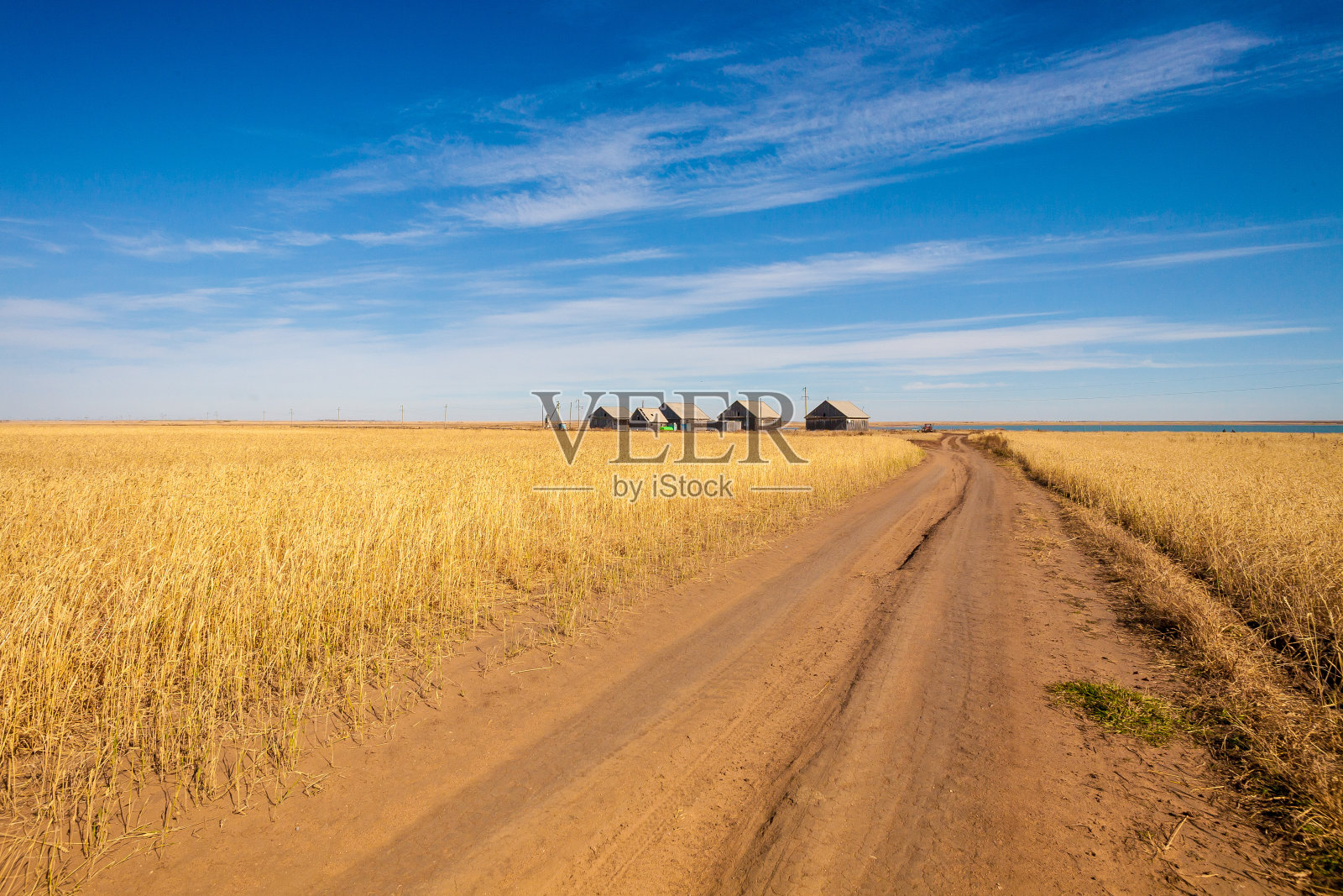 麦田照片摄影图片