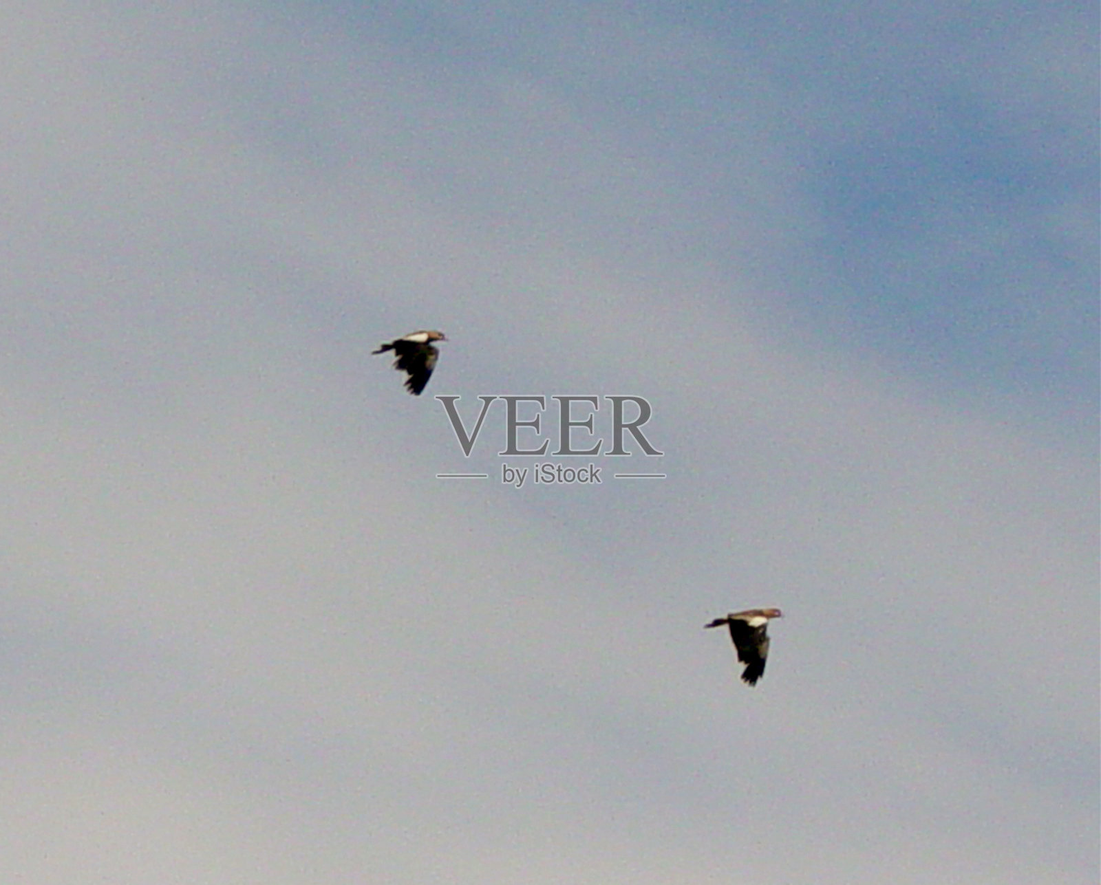 合作伙伴照片摄影图片