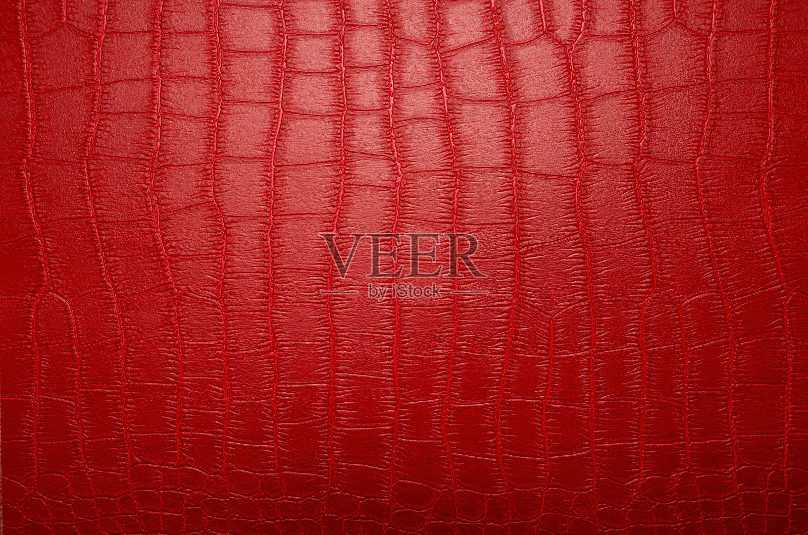 动物图案照片摄影图片