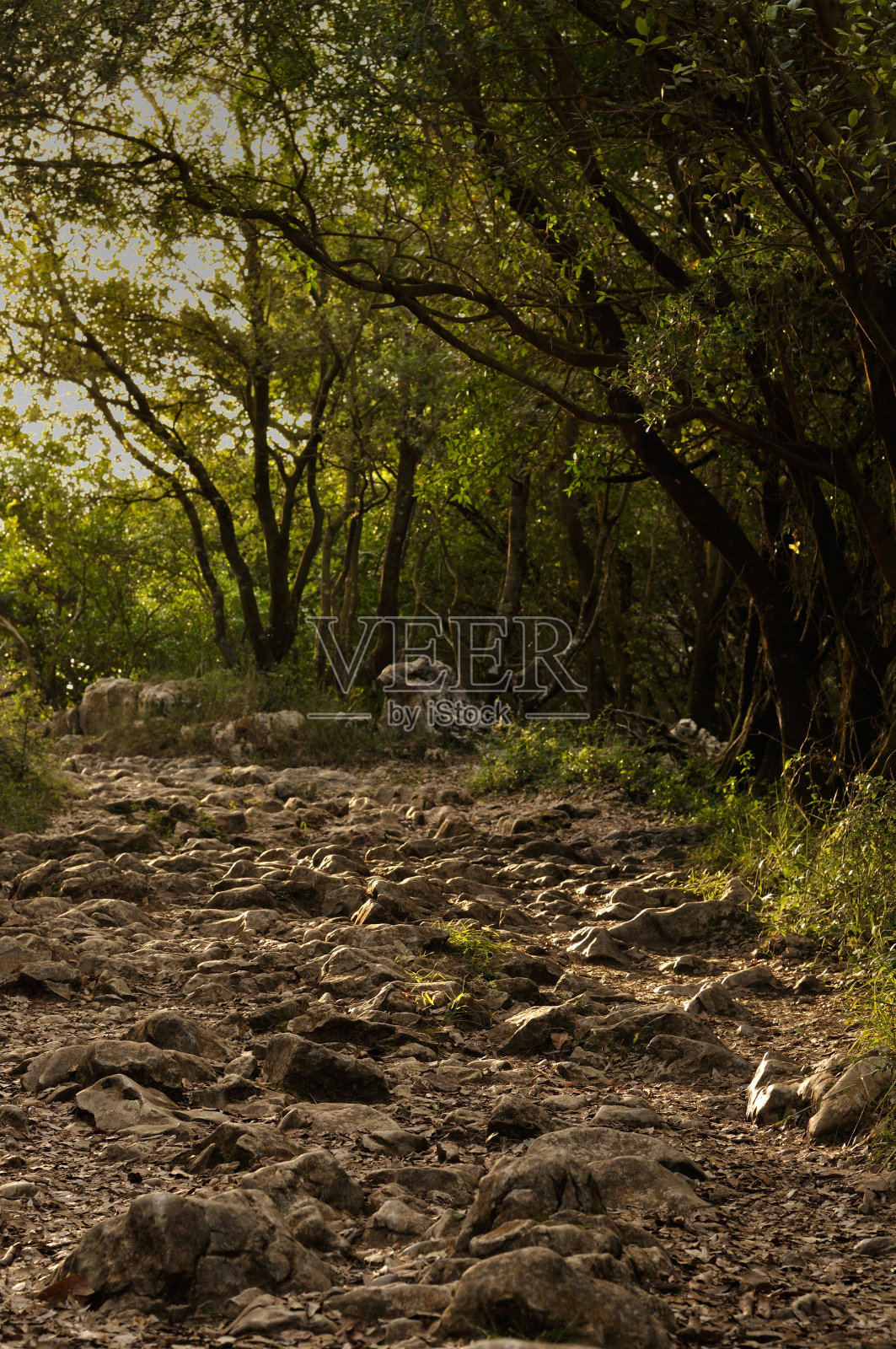 方式Buciero照片摄影图片