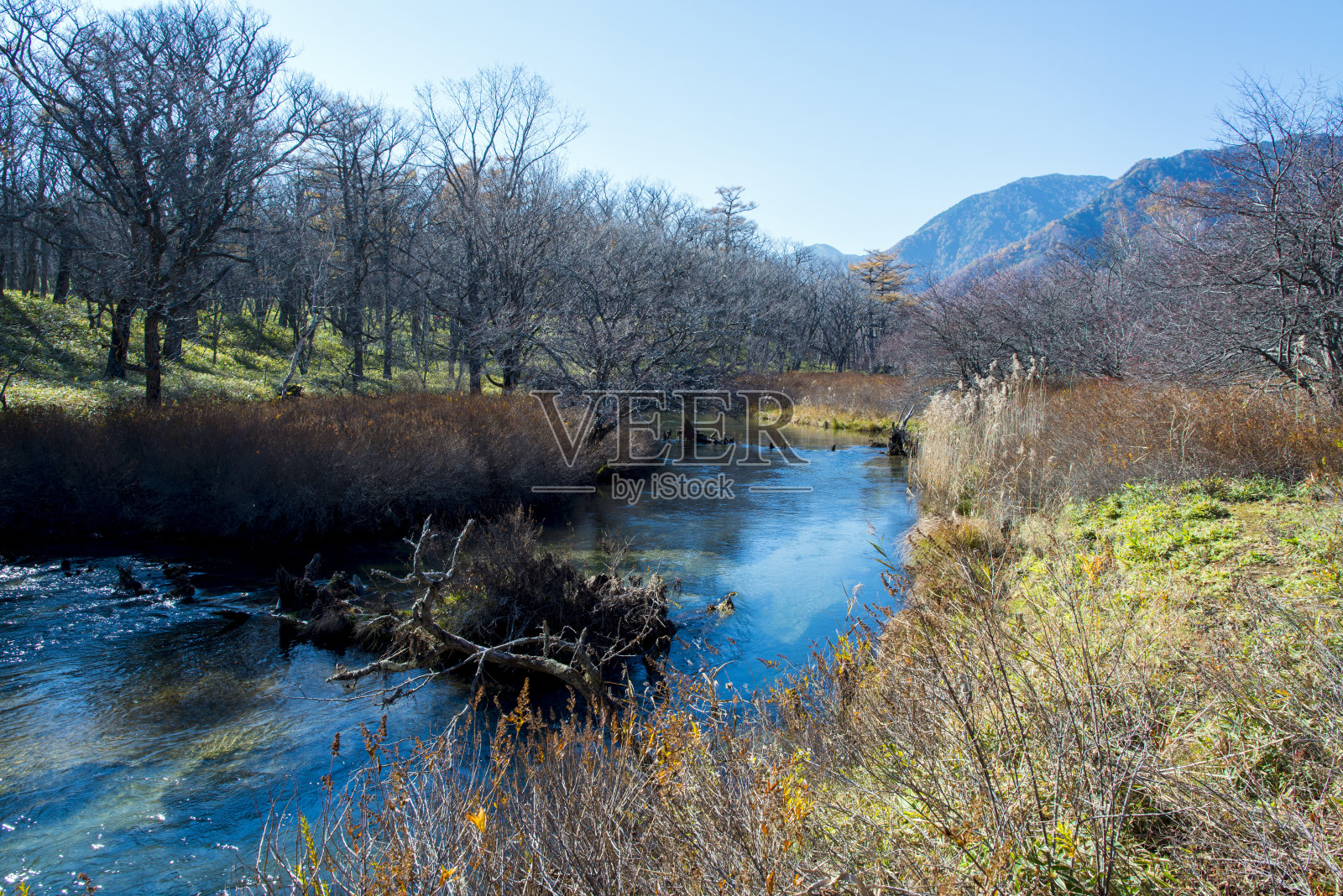 河Yukawa照片摄影图片