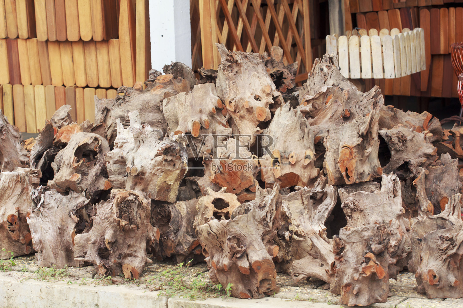 树根。照片摄影图片