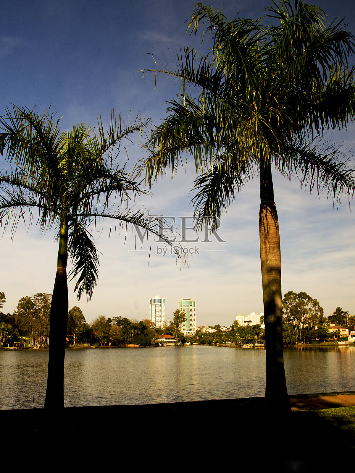 拉戈照片摄影图片