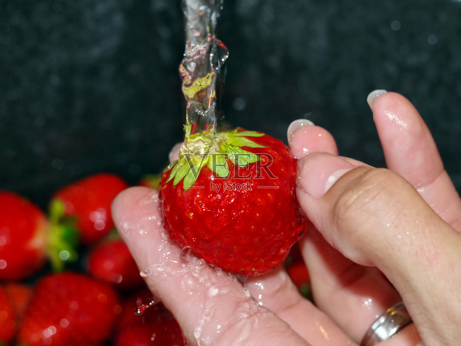 草莓洗照片摄影图片