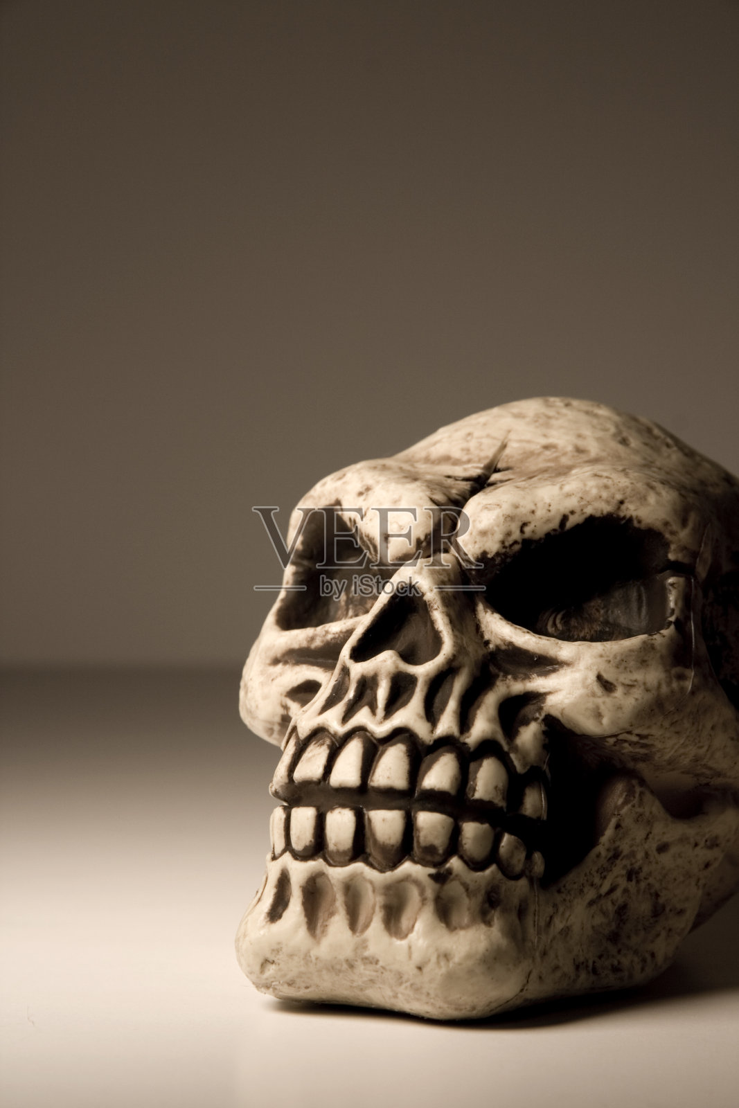 令人毛骨悚然的头骨照片摄影图片