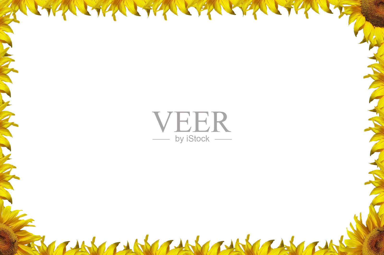 向日葵框架照片摄影图片