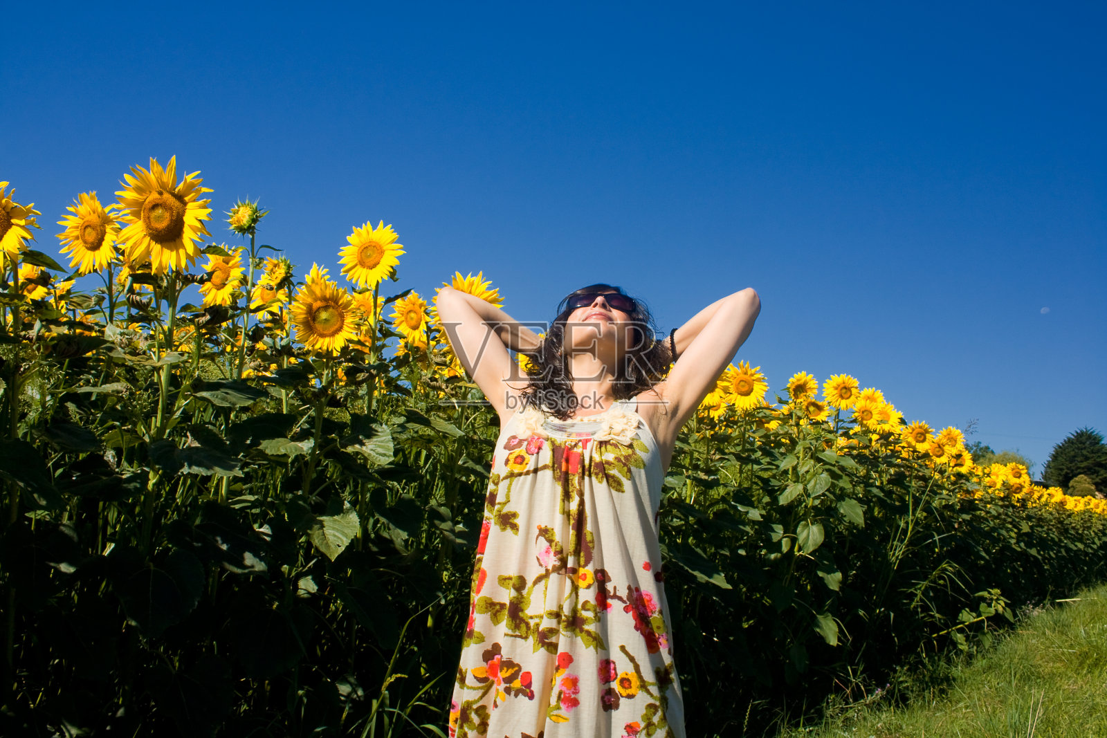 年轻美丽的女人在夏天的赛场上照片摄影图片