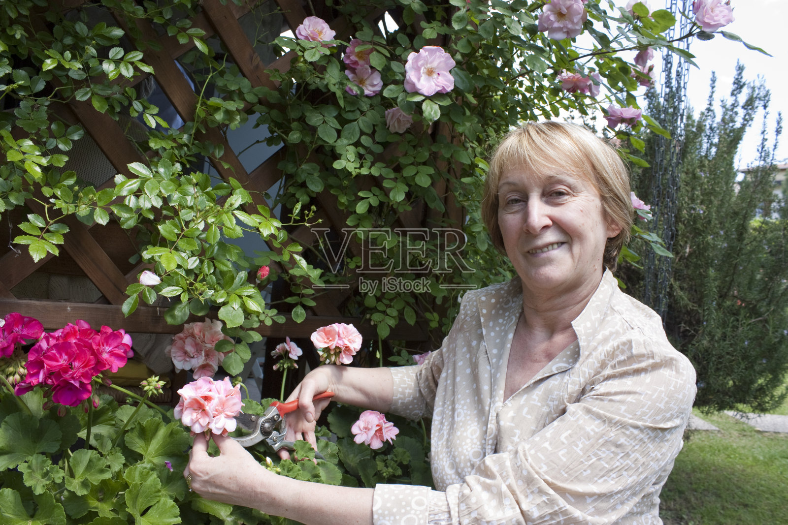 女性高级园艺照片摄影图片