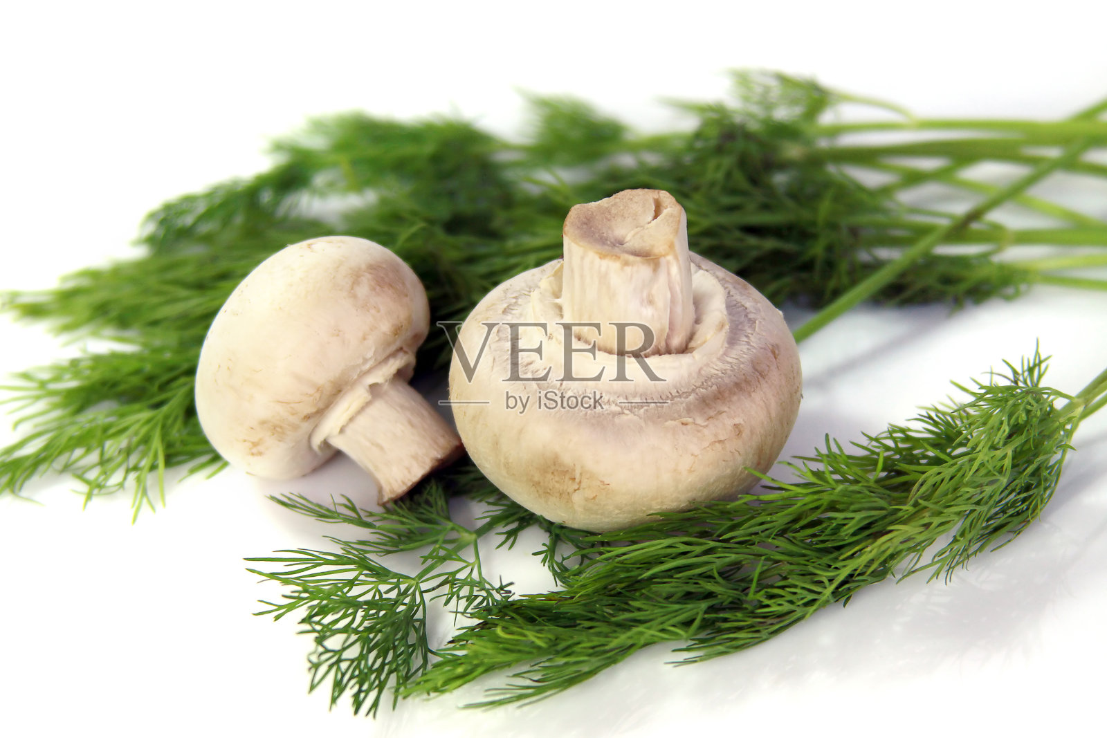 野蘑菇和茴香照片摄影图片