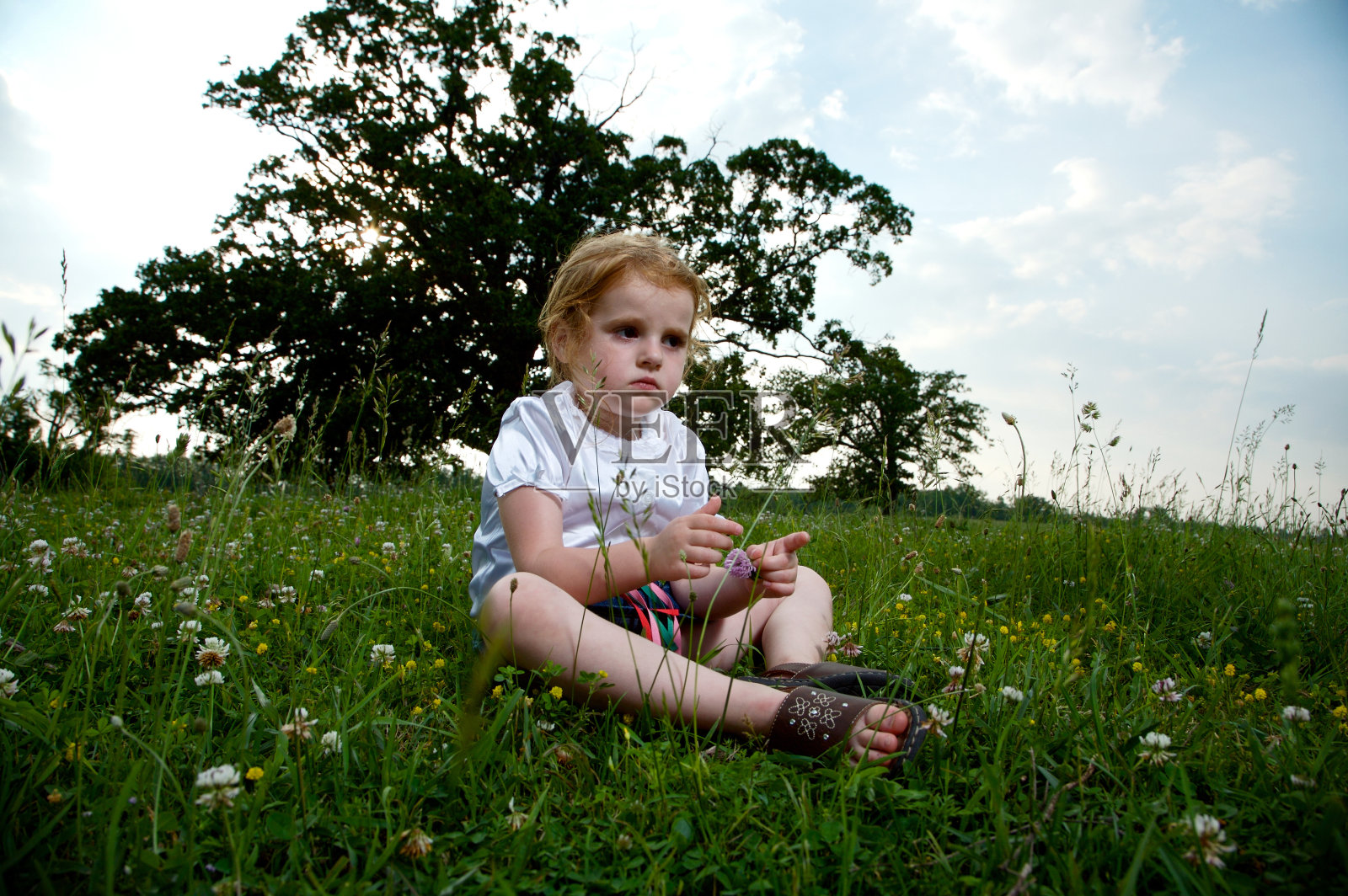 小女孩的牧场肖像照片摄影图片