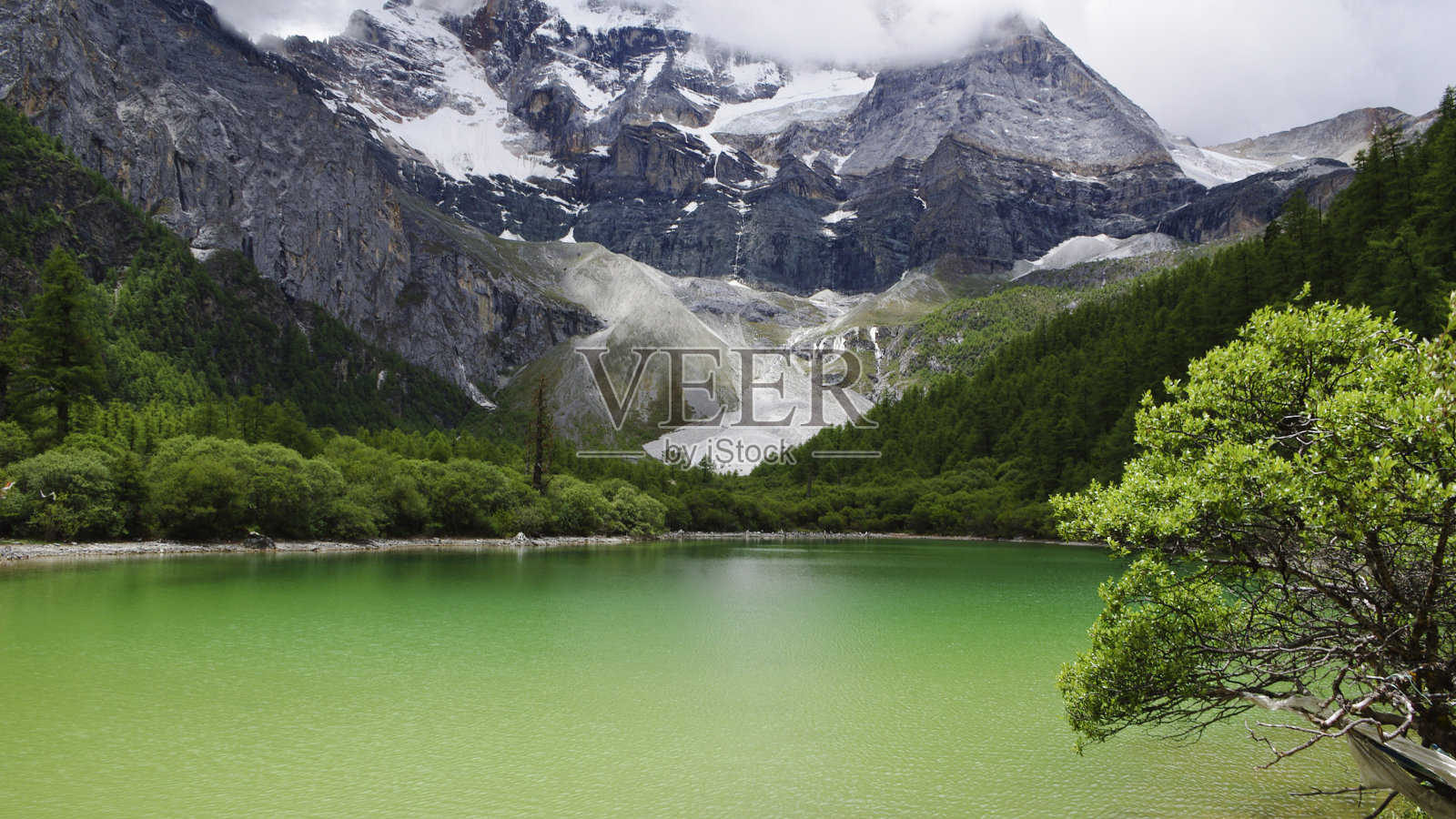 绿色的湖和雪山照片摄影图片