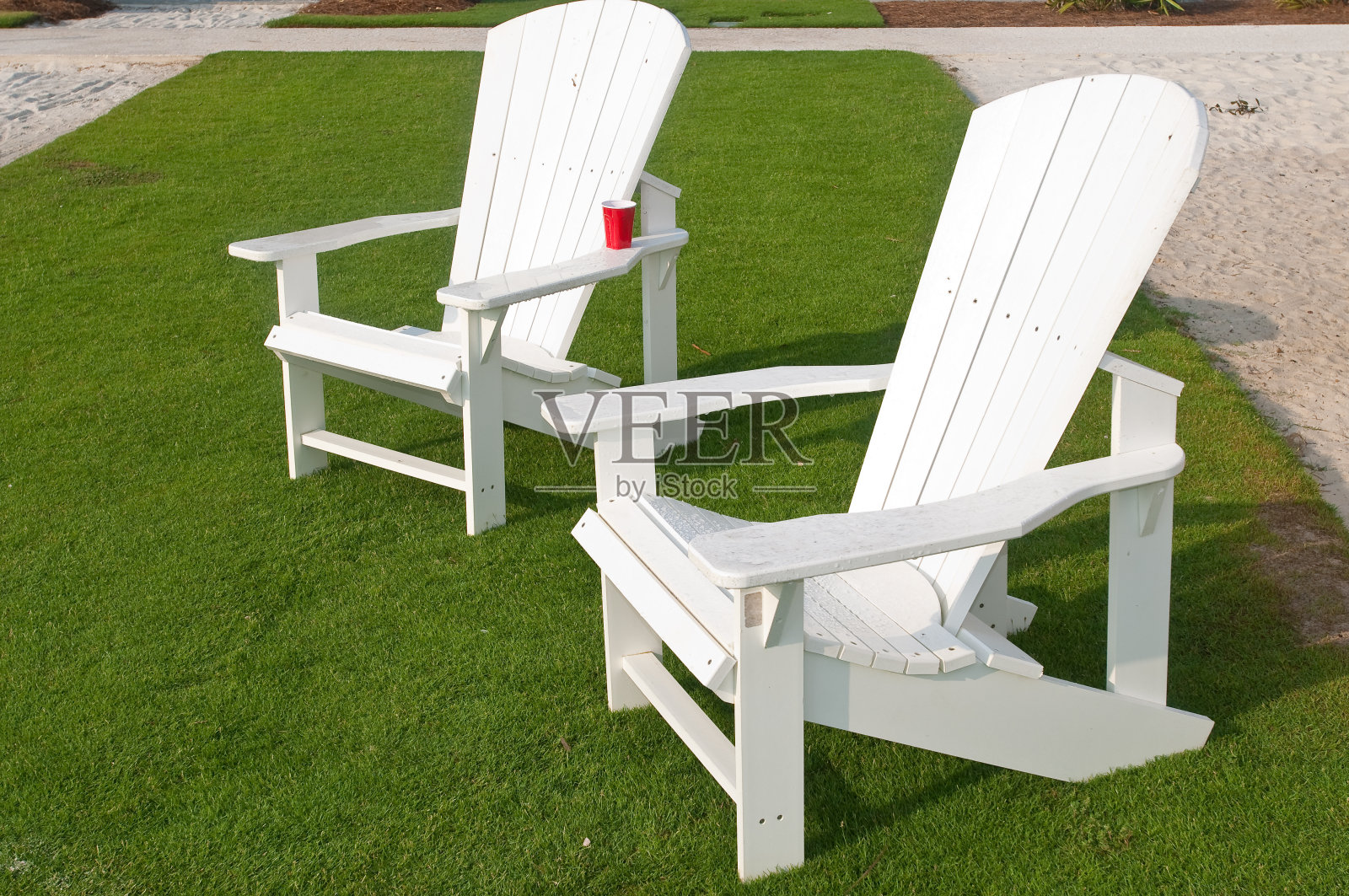 草坪上照片摄影图片