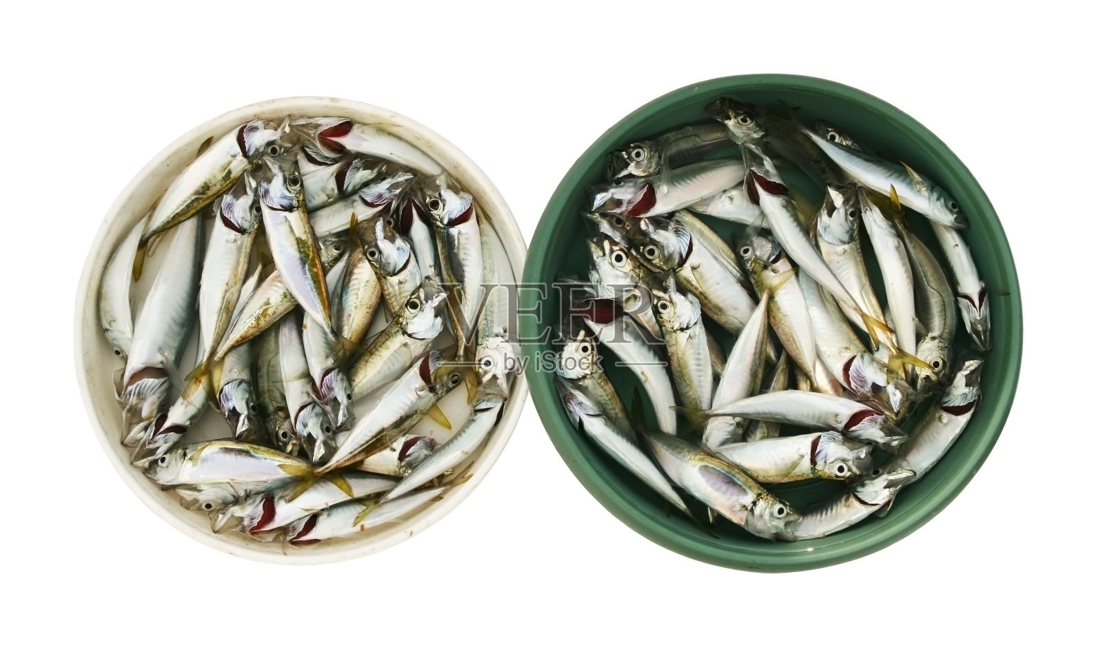 装满鱼的碗照片摄影图片