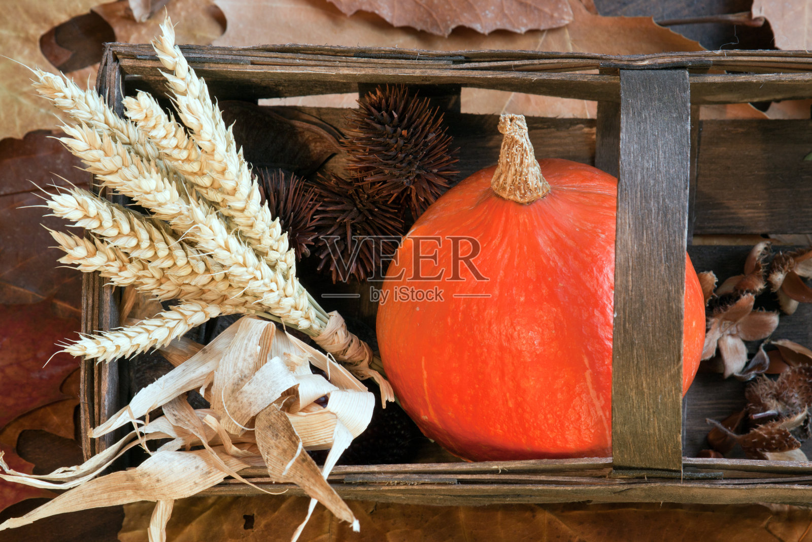 秋天照片摄影图片