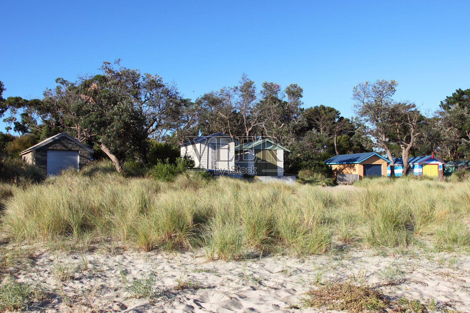 玫瑰花蕾、沙滩小屋照片摄影图片