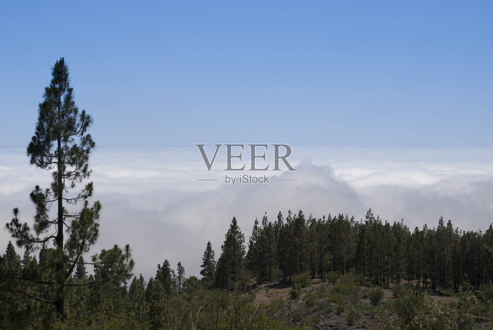 特内里费岛(加那利群岛)泰德国家公园。照片摄影图片