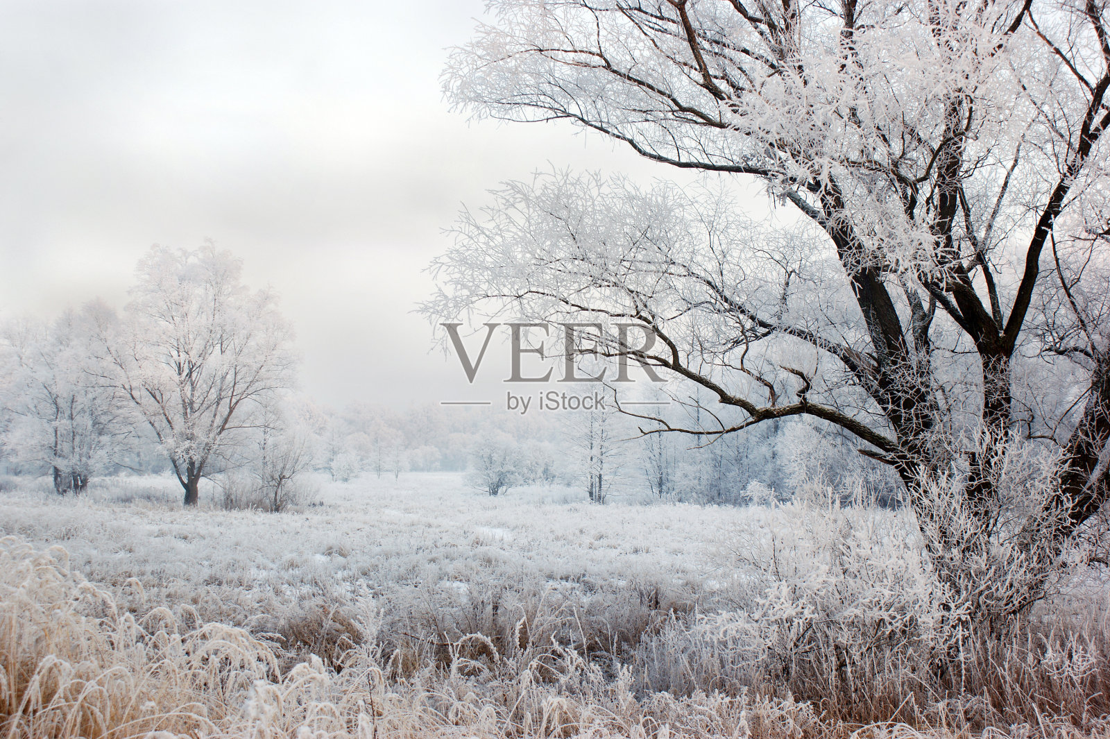 冬天的风景照片摄影图片