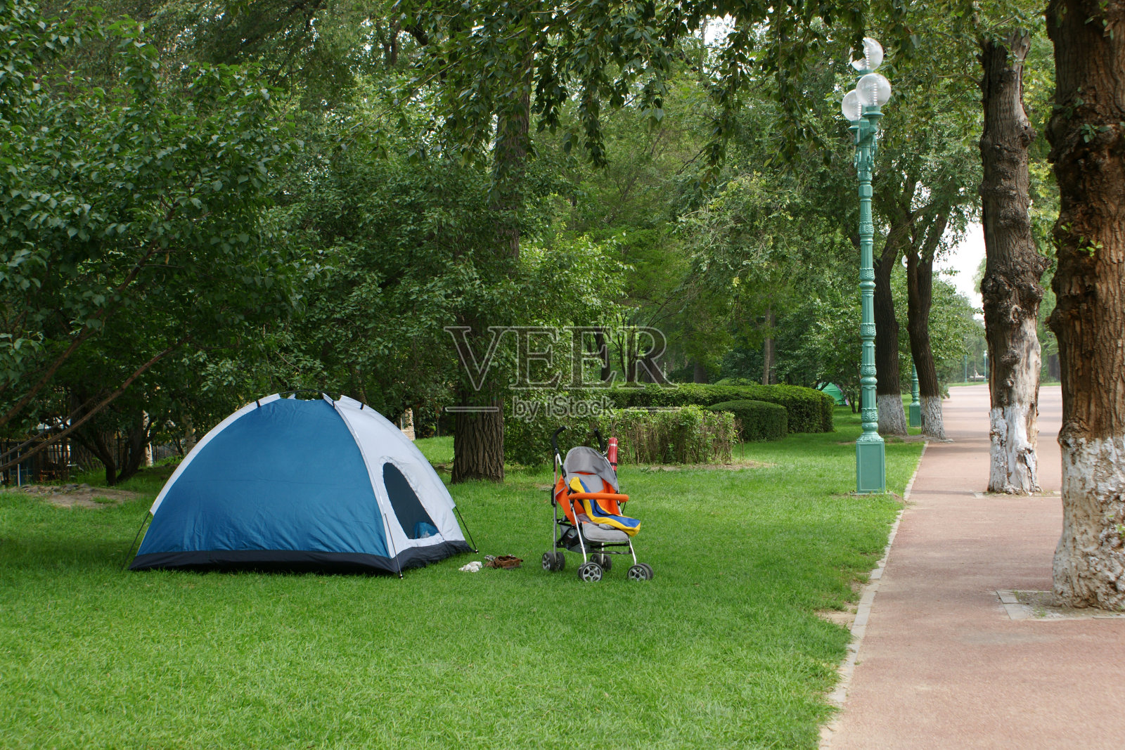 公园里的蓝色露营帐篷照片摄影图片