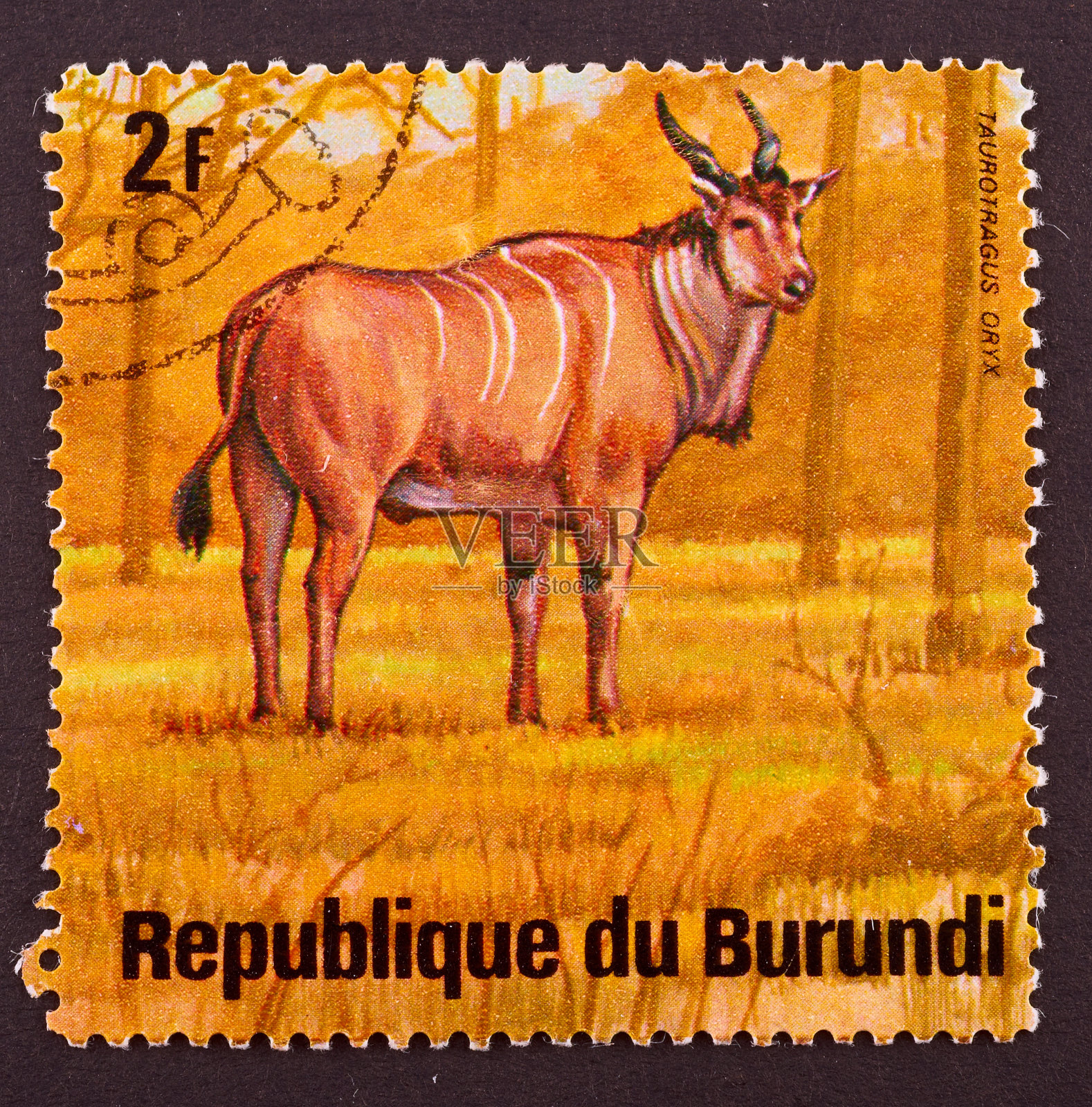 邮票照片摄影图片