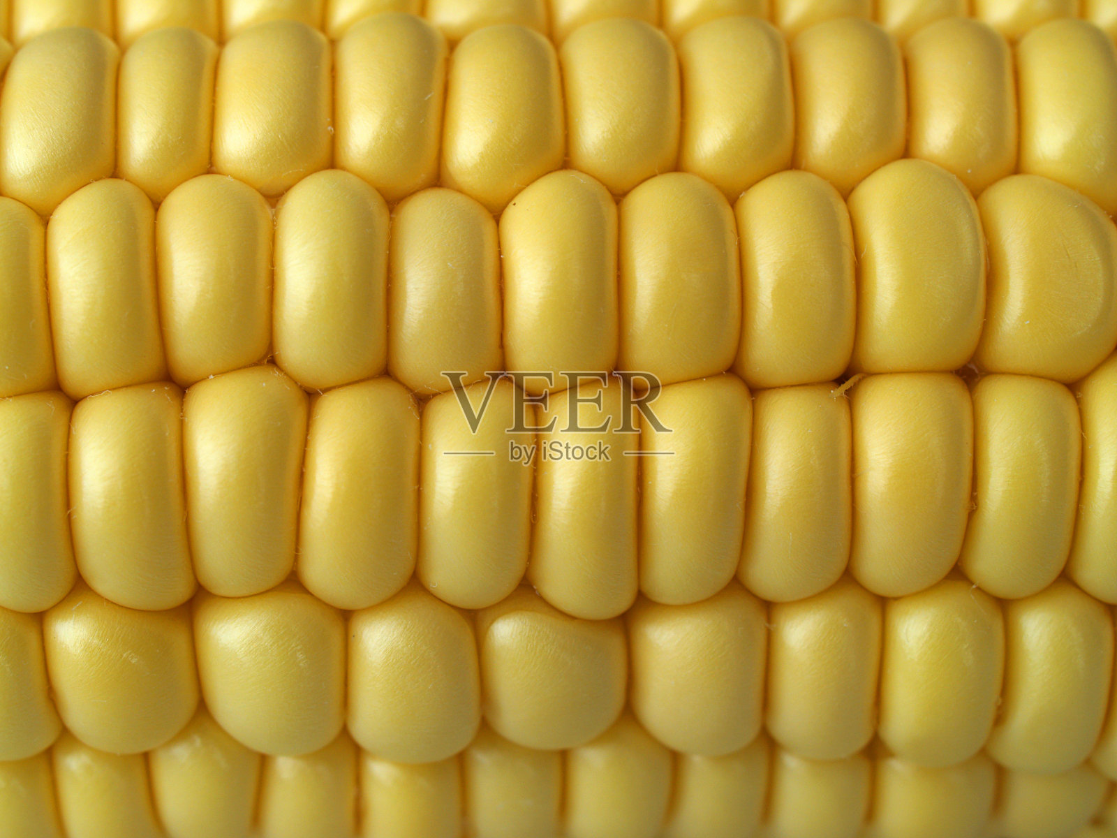 玉米照片摄影图片