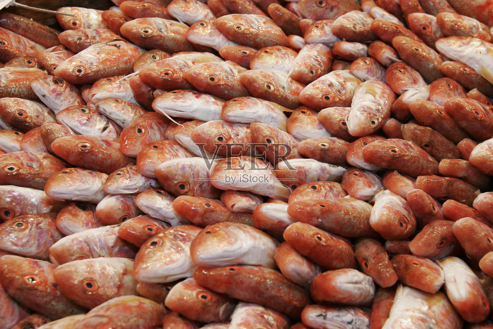 鱼市场照片摄影图片
