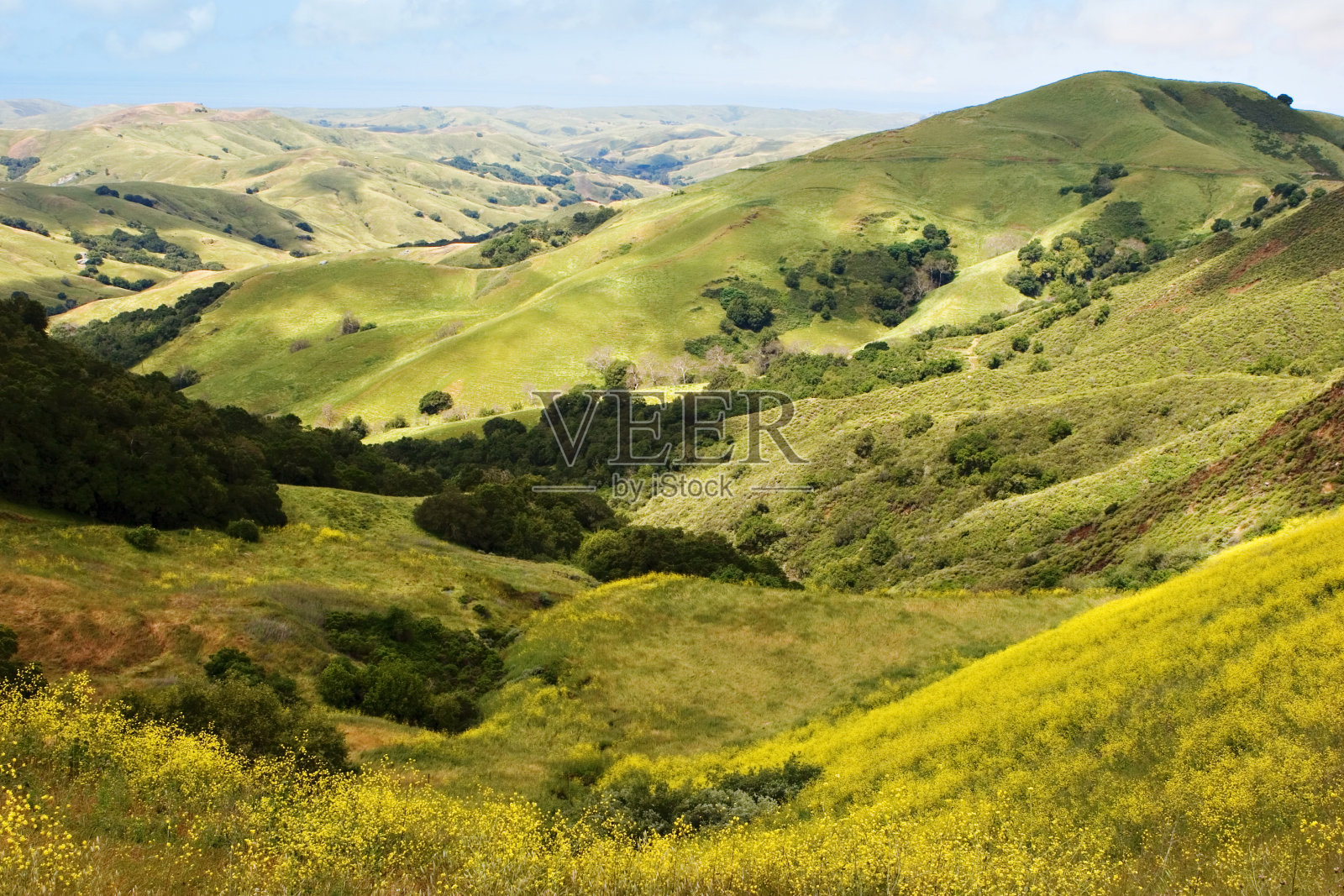 沿海丘陵地带照片摄影图片
