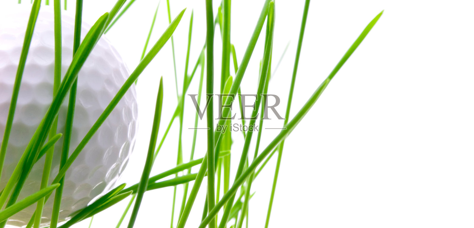 草地上孤立的高尔夫球照片摄影图片