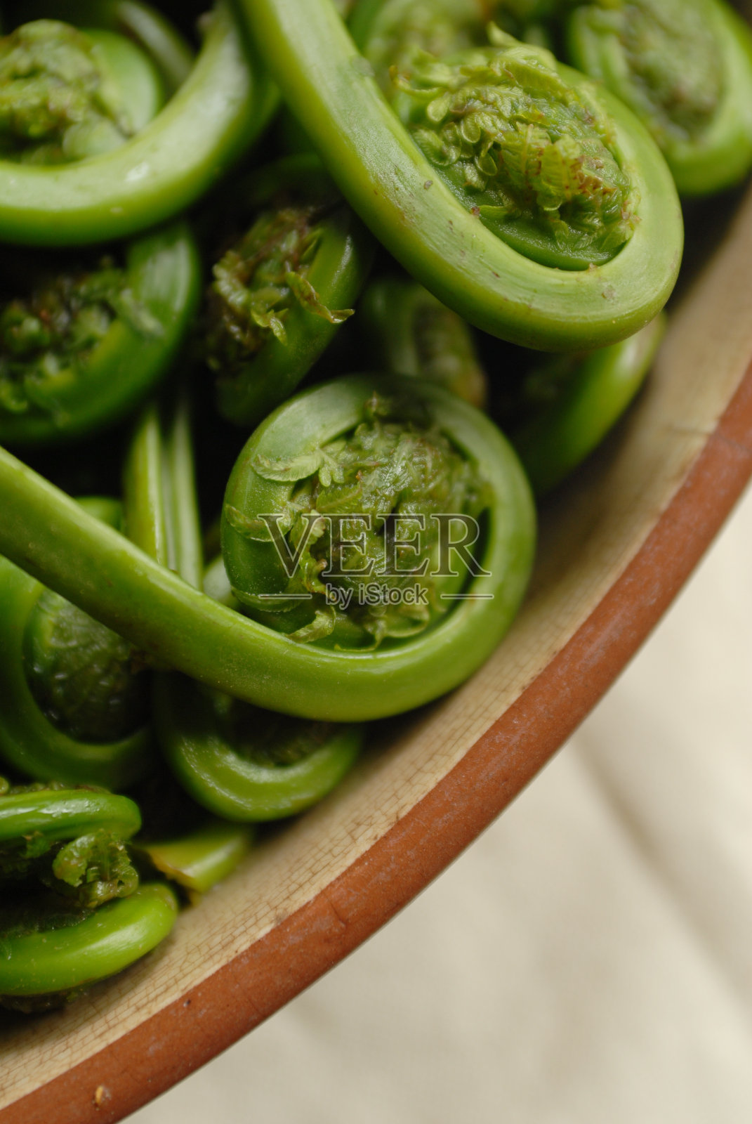 乡下碗里的蕨类植物照片摄影图片