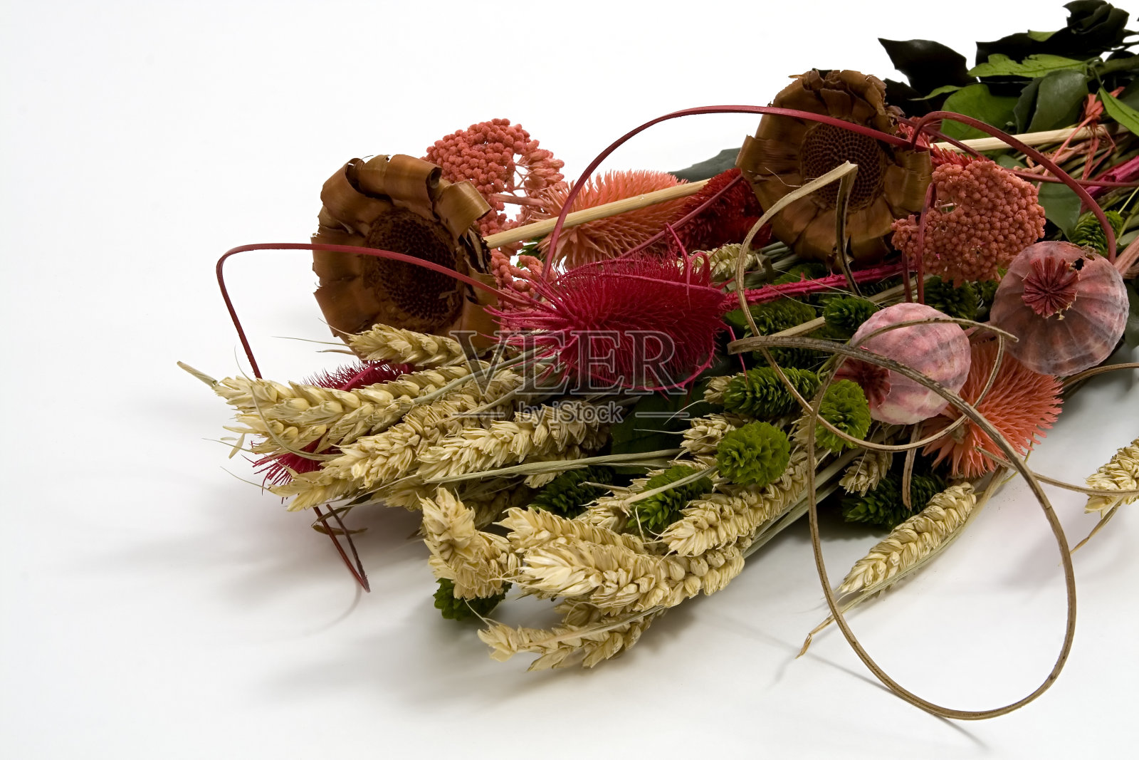 干花照片摄影图片