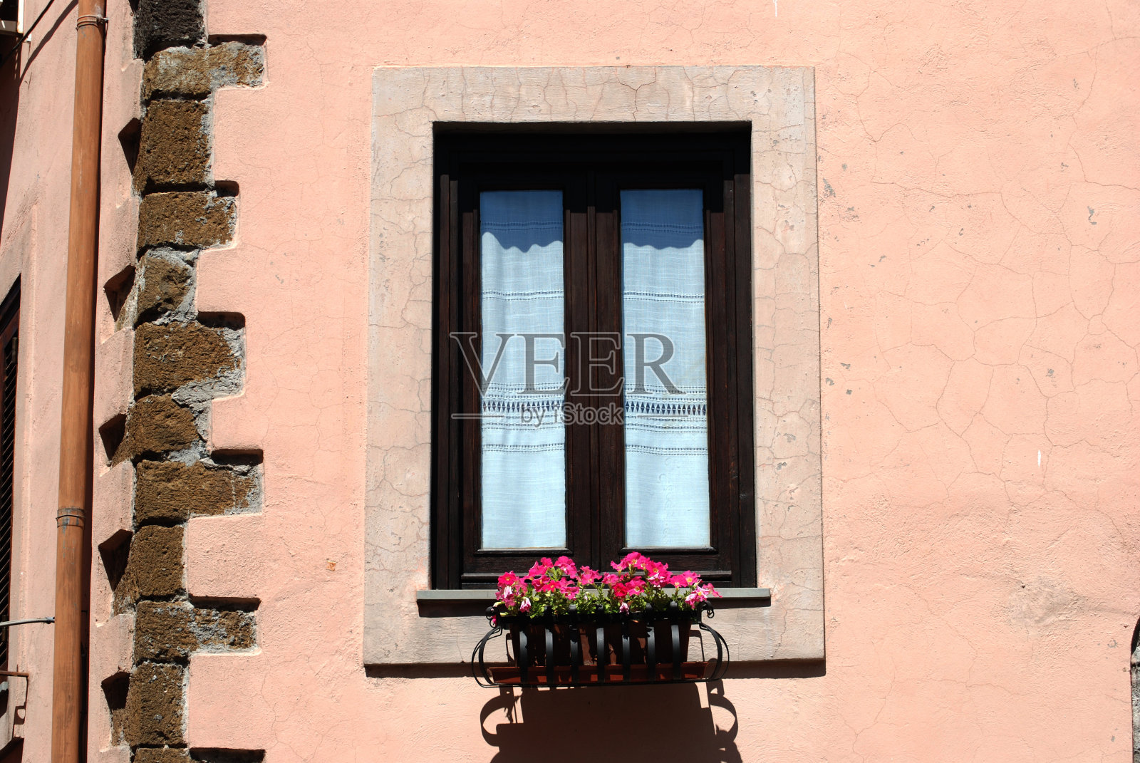 盆栽窗照片摄影图片