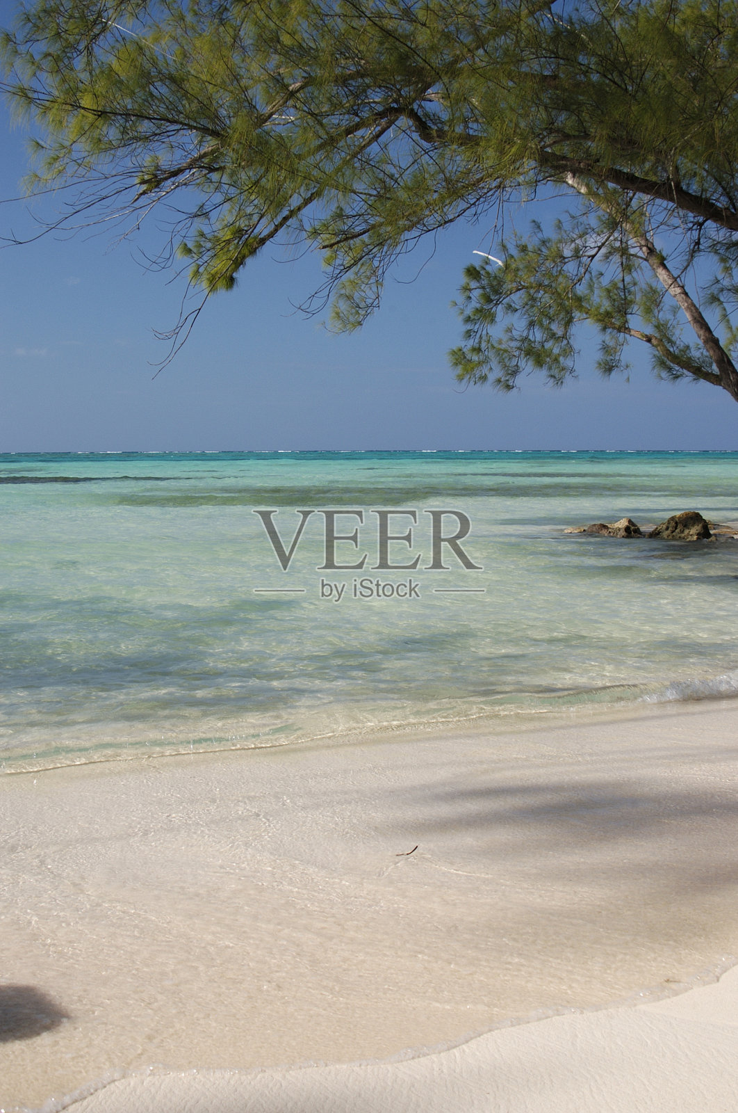 开曼群岛的朗姆角海滩照片摄影图片