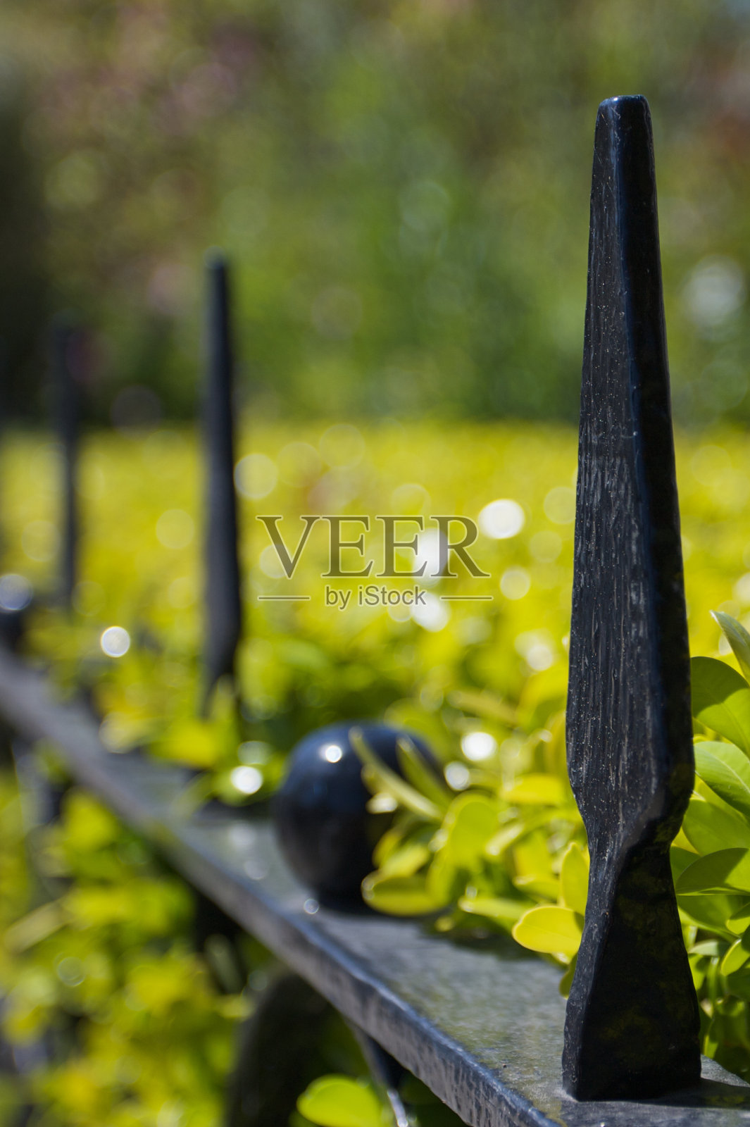 铁艺篱笆钉照片摄影图片