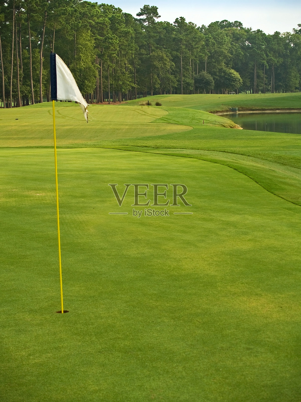 高尔夫的旗帜照片摄影图片