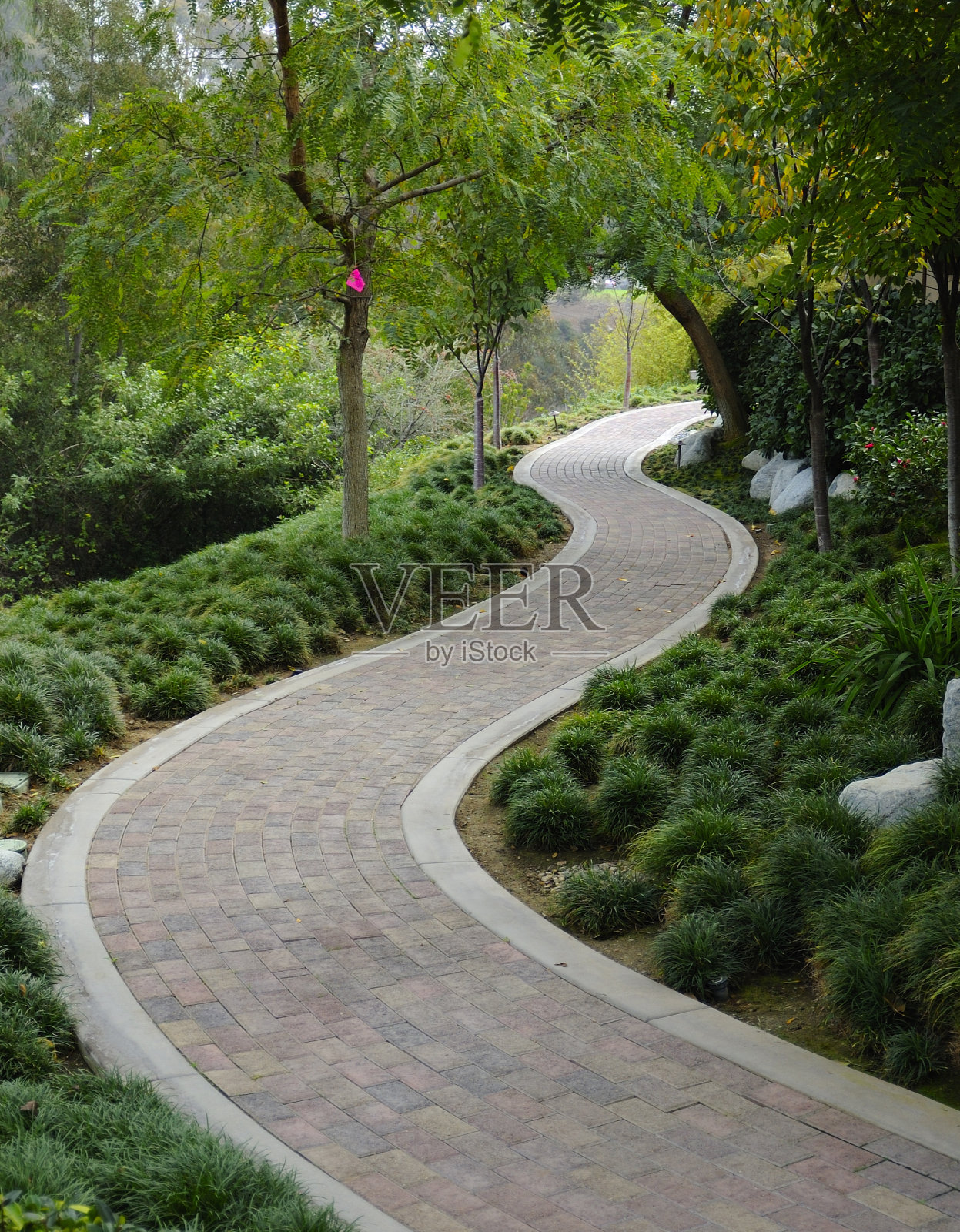 日式花园,铺着人行道照片摄影图片