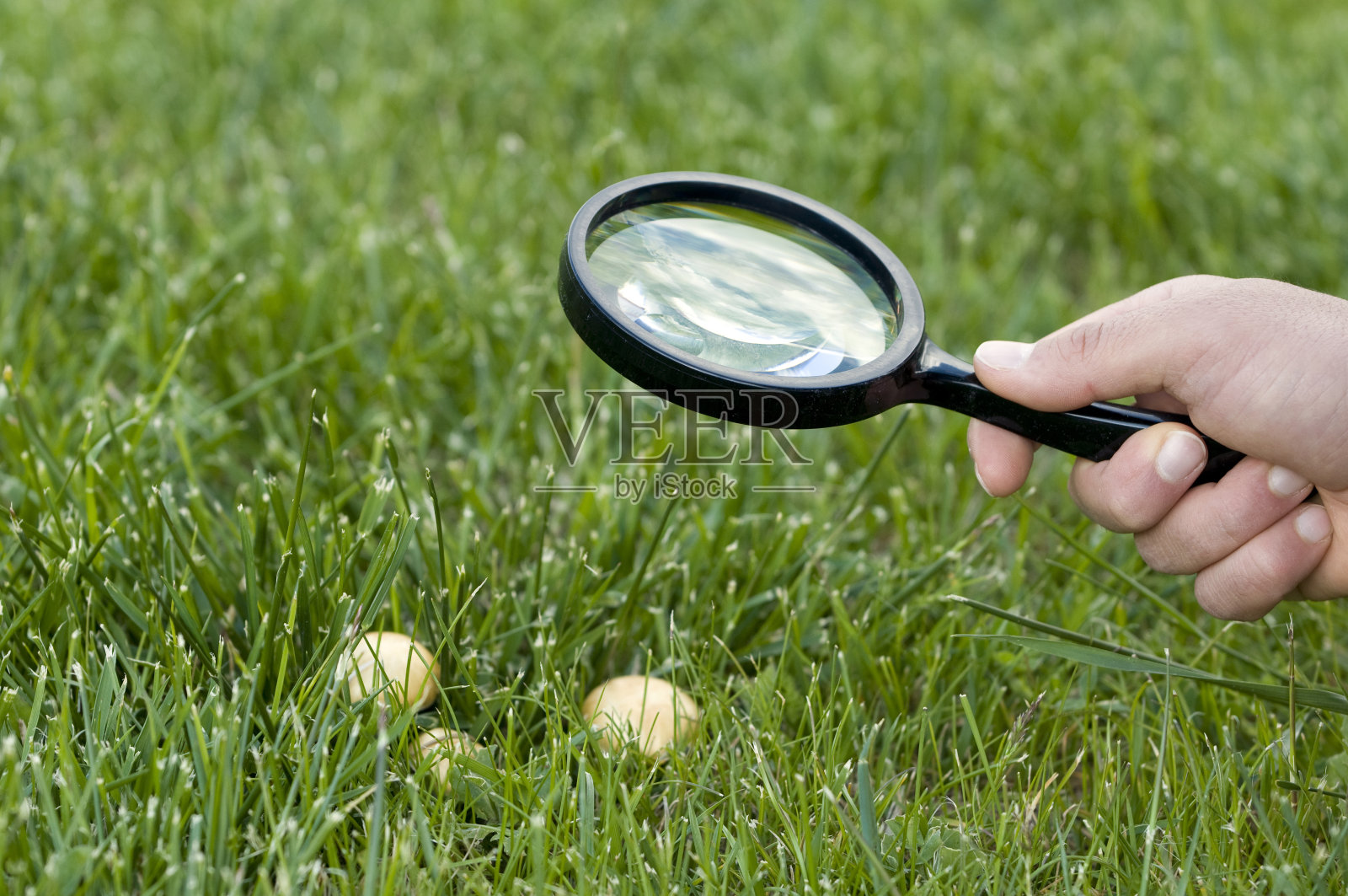 搜索照片摄影图片