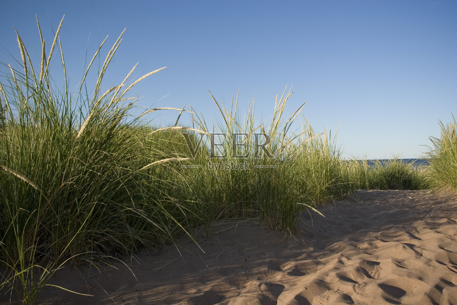 去海滩玩照片摄影图片